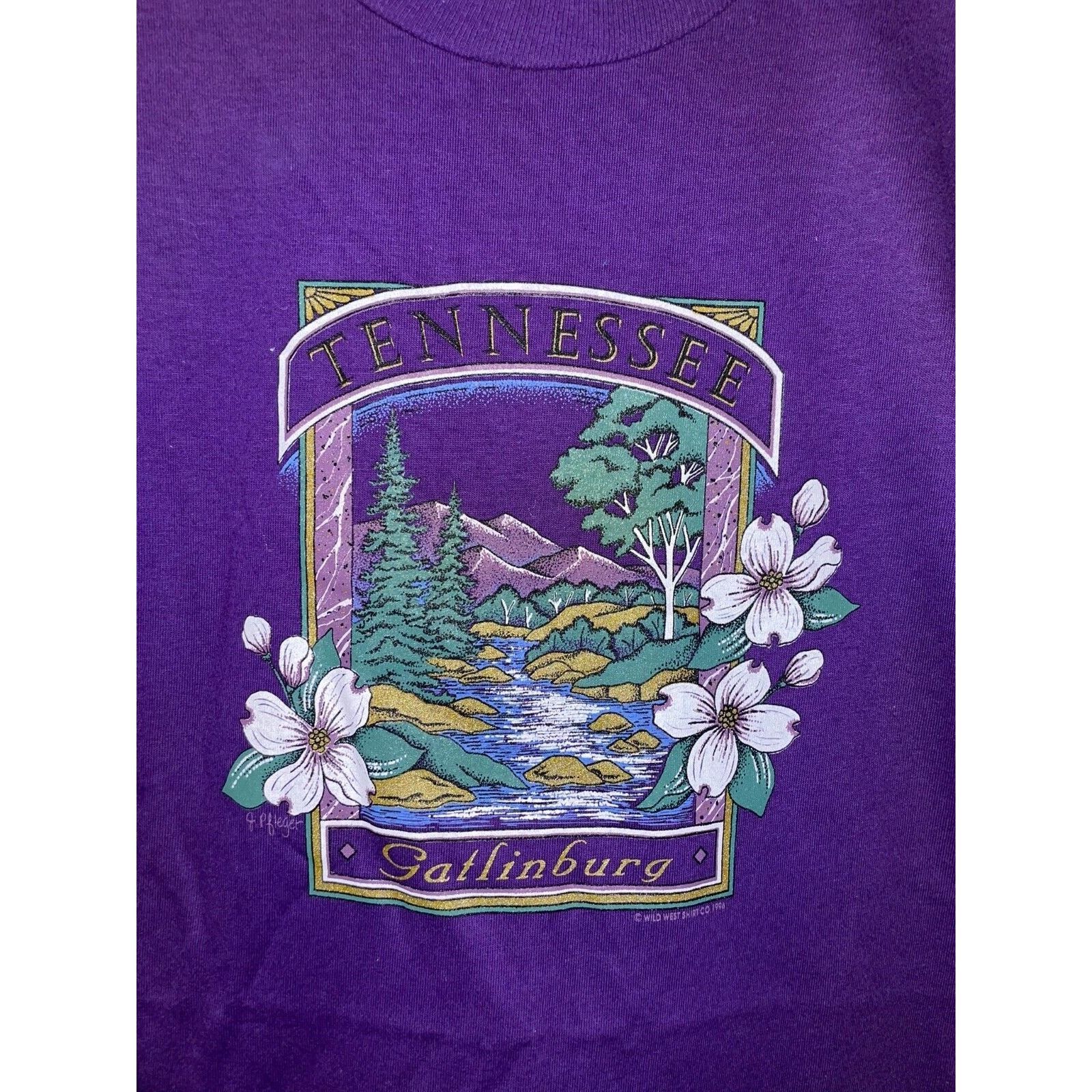 Jerzees Vintage Gatlinburg Tennessee Shirt Mountain Tee VTG 90s L Size US L / EU 52-54 / 3 - 2 Thumbnail