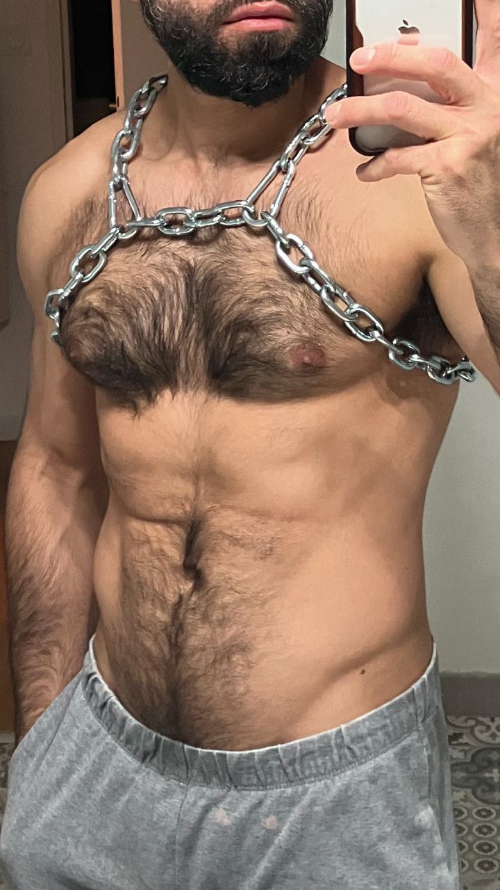 Other M2 Stainless Steel Harness 🔥 Size ONE SIZE - 2 Thumbnail