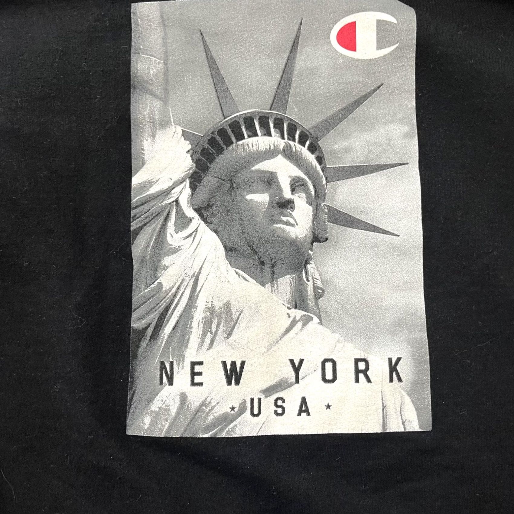 Champion Champion Hoodie Mens 2XL Black New York USA Statue of Liberty Graphic Pullover Size US XXL / EU 58 / 5 - 3 Thumbnail