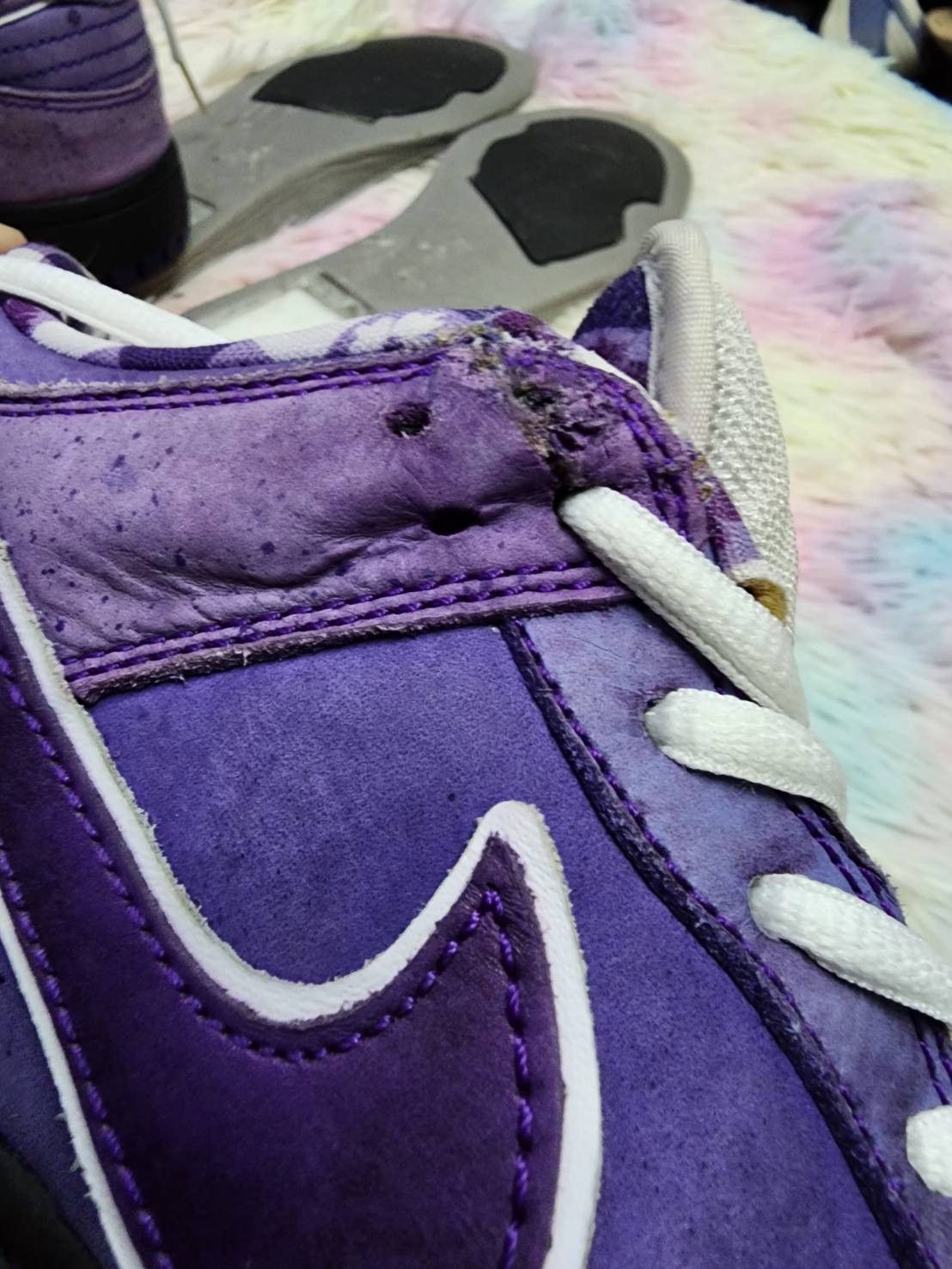 Nike Nike Sb Dunk Low Purple Lobster Size US 9.5 / EU 42-43 - 17 Thumbnail