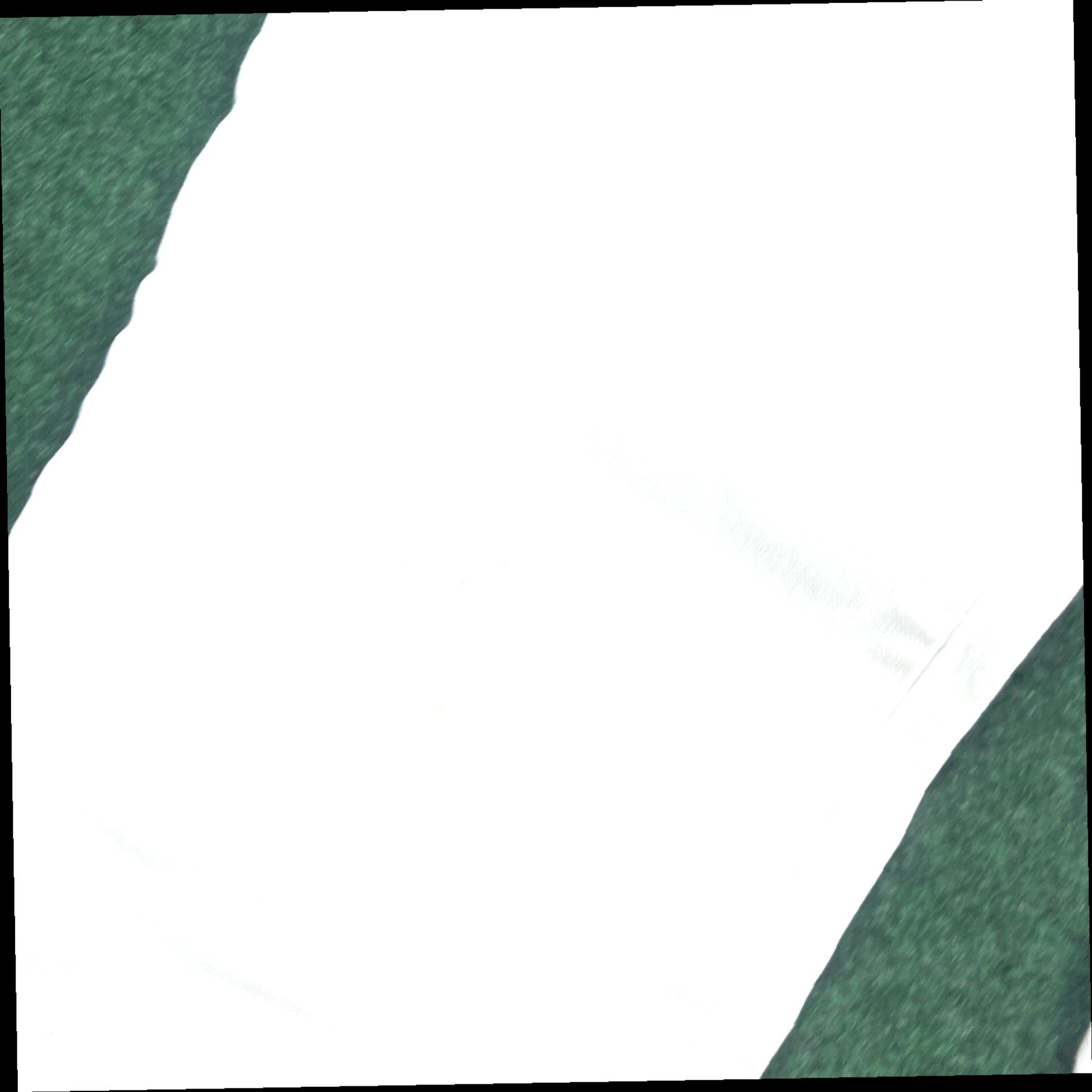 Gloria Vanderbilt GLORIA VANDERBILT Amanda Jeans Women's size 16 Straight Khaki Green Size 38" / US 16 / IT 52 - 5 Thumbnail