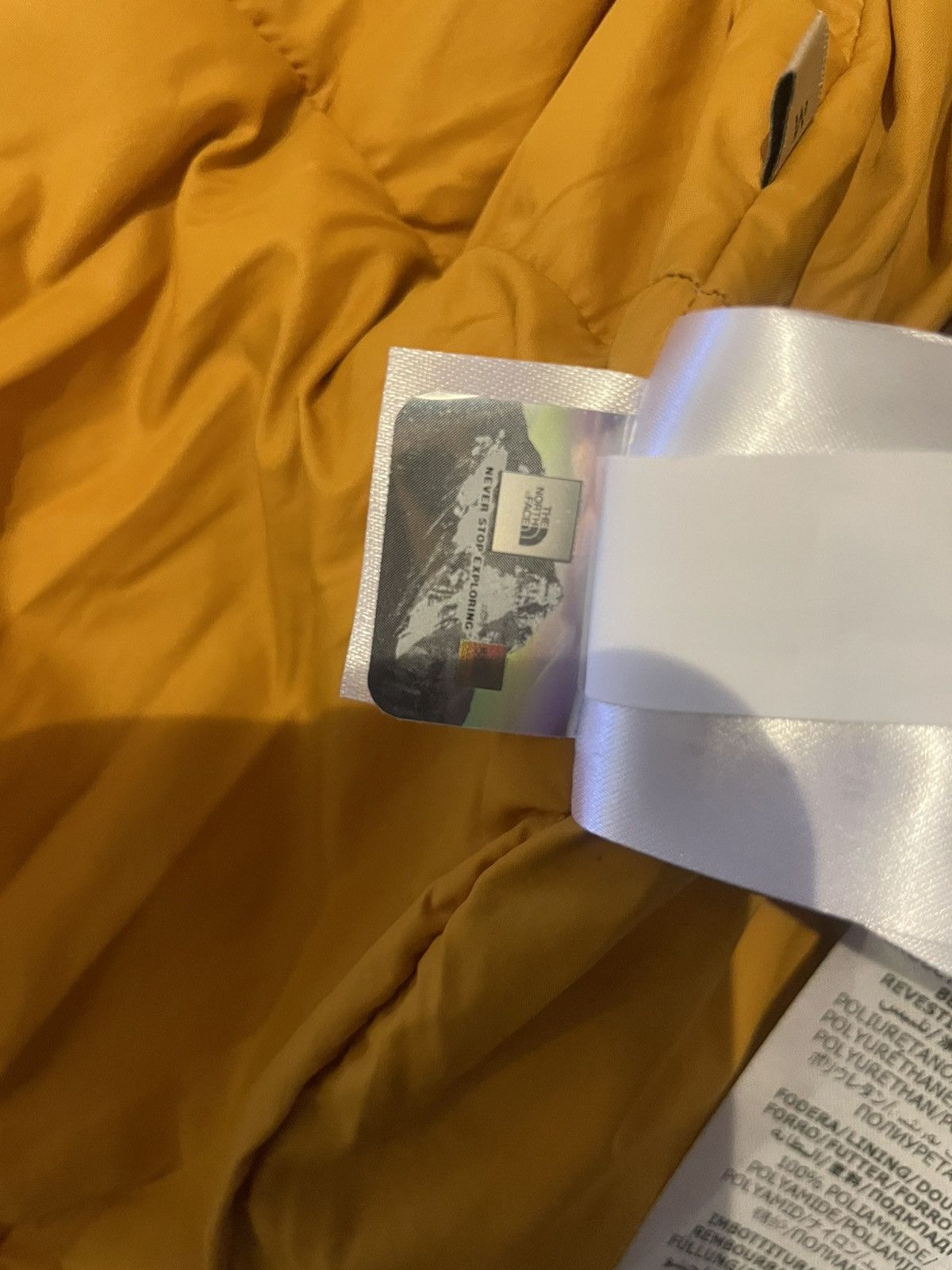 Gucci × The North Face The North Face / Gucci Winter Jacket Size US M / EU 48-50 / 2 - 10 Thumbnail