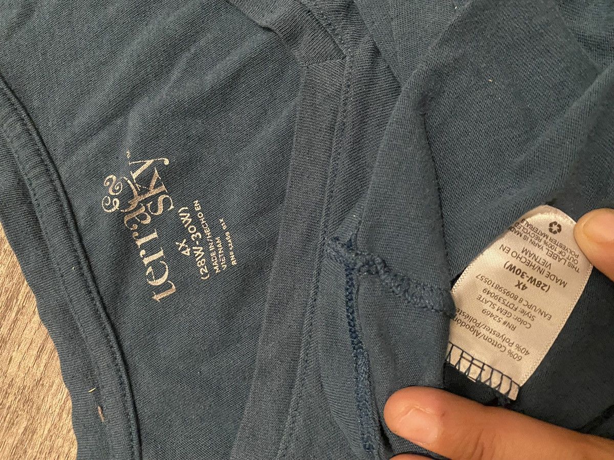 Vintage Terra & Sky (Size: 4x) Size 4XL / US 24-26 - 2 Thumbnail