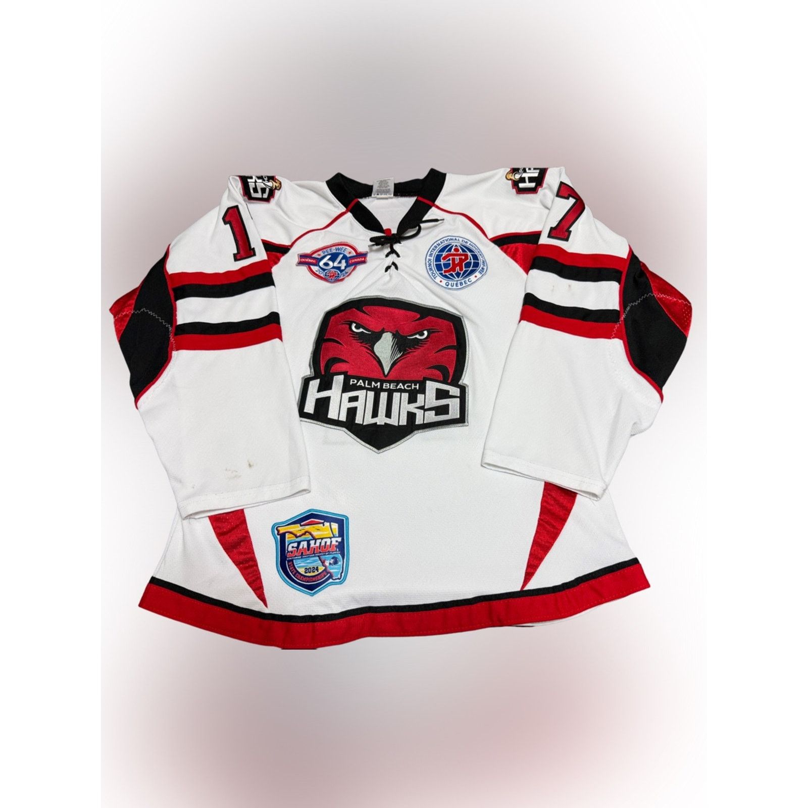 Other Palm Beach Hawks Authentic Hockey Goalie Jersey Mens RARE Size US S / EU 44-46 / 1 - 1 Thumbnail