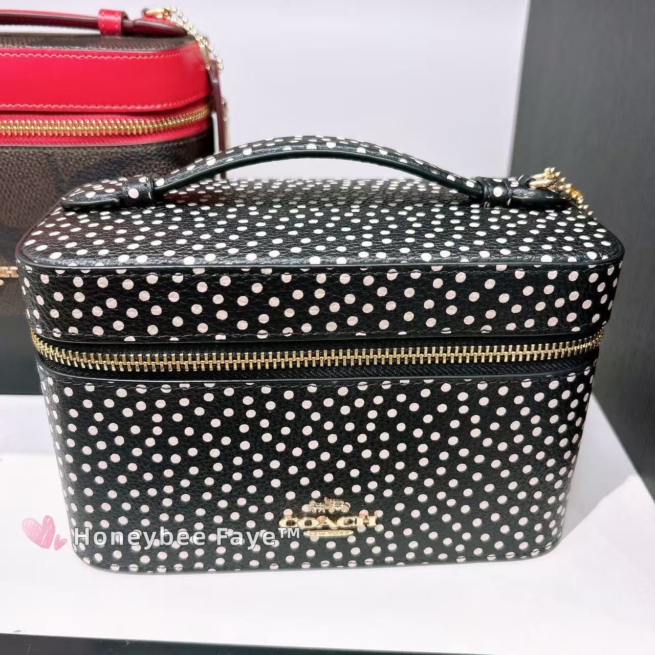 NWT Coach Cosmetic Case With Spot Print CCF44
