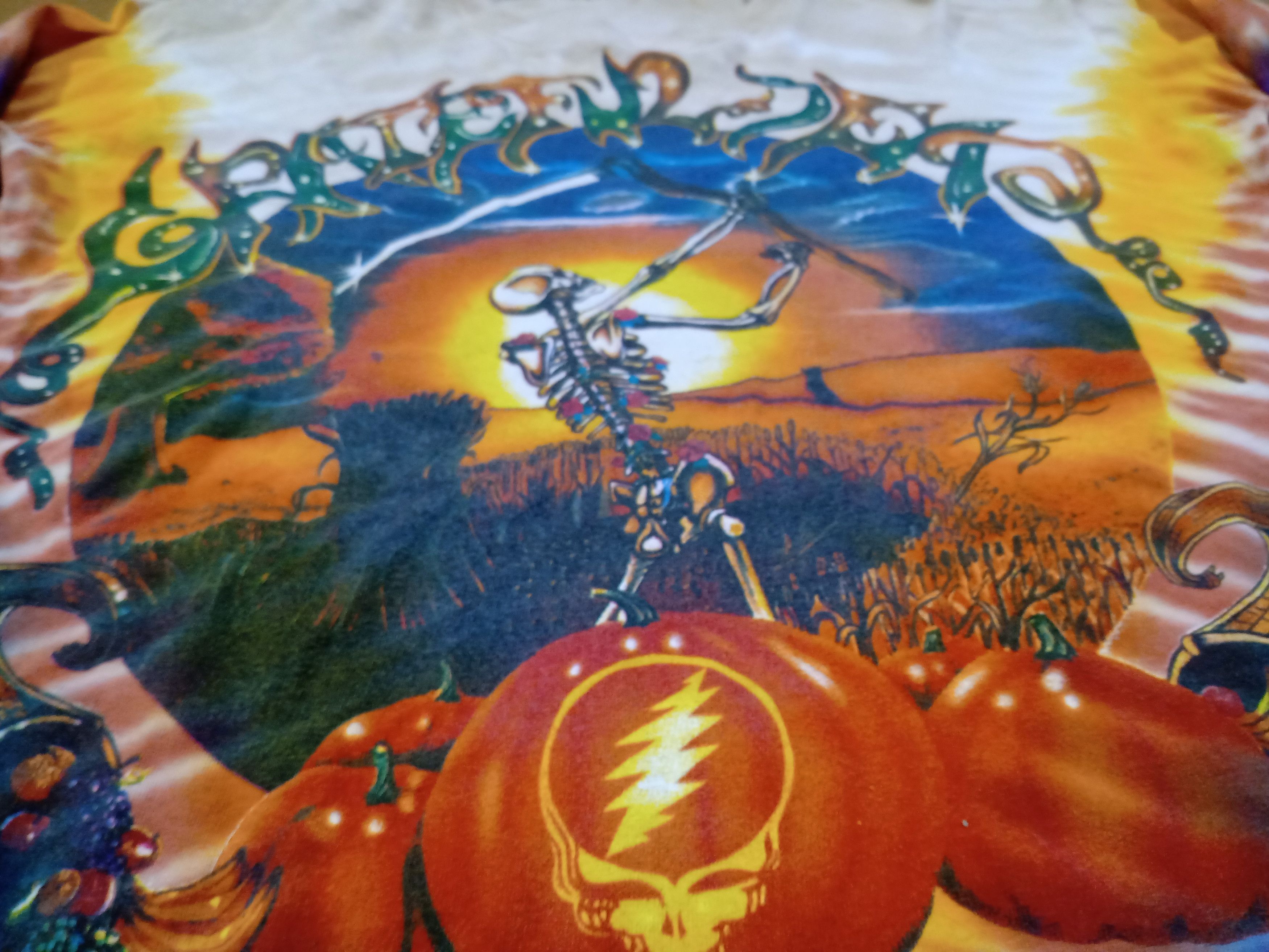 Anvil × Grateful Dead × Vintage Vintage Grateful Dead Long Sleeve Shirt Anvil 1994 Fall Tour Size US M / EU 48-50 / 2 - 2 Thumbnail