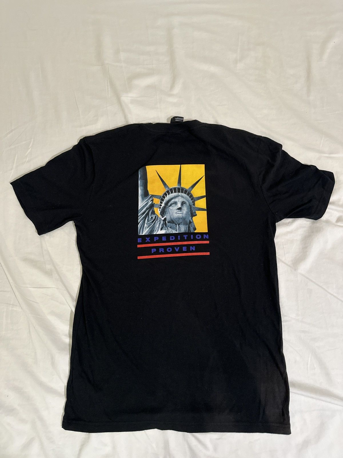 Supreme Supreme The North Face Statue of Liberty Tee | Grailed
