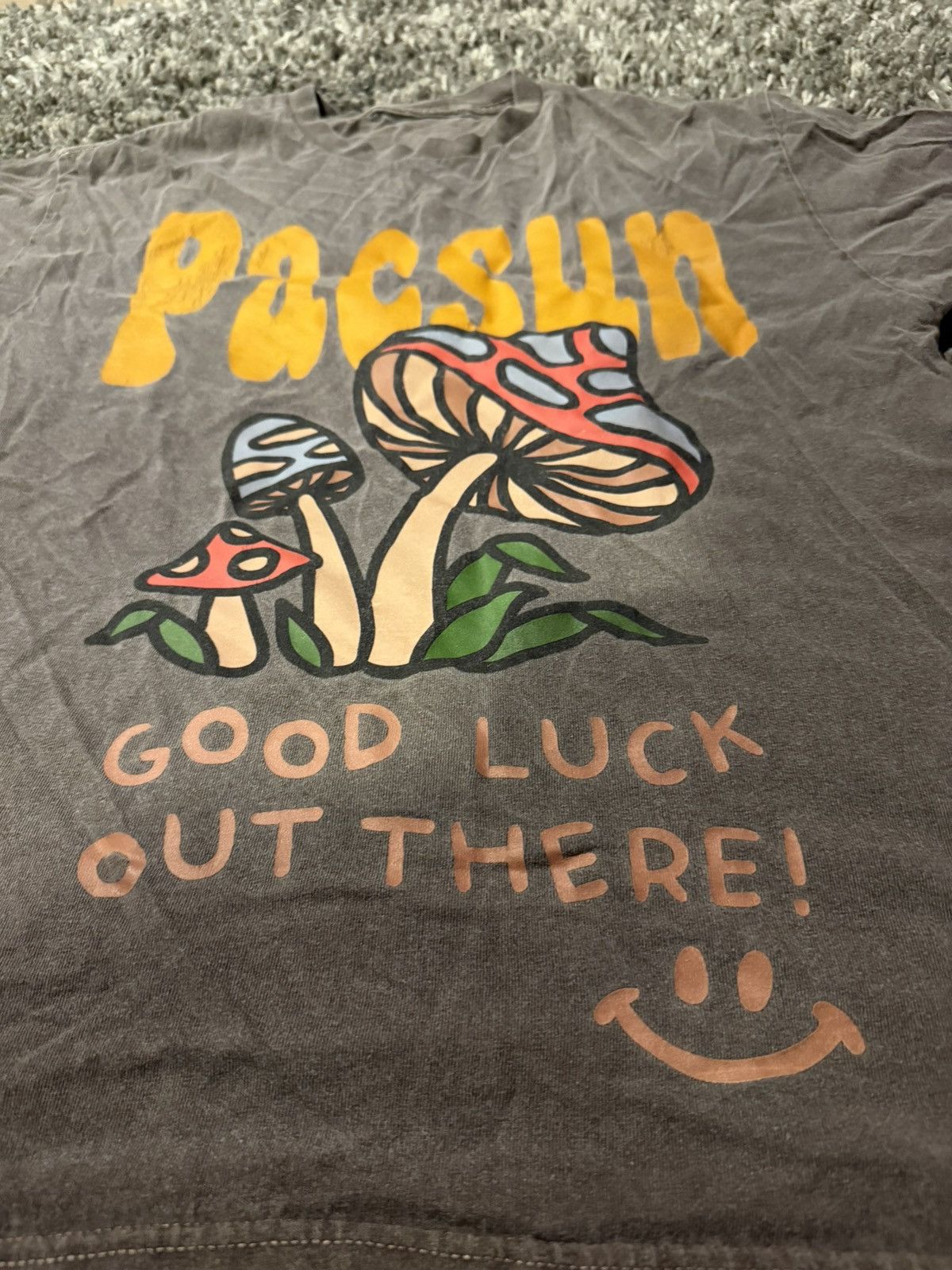 Pacsun Pacsun brown mushroom tee Size US M / EU 48-50 / 2 - 3 Thumbnail