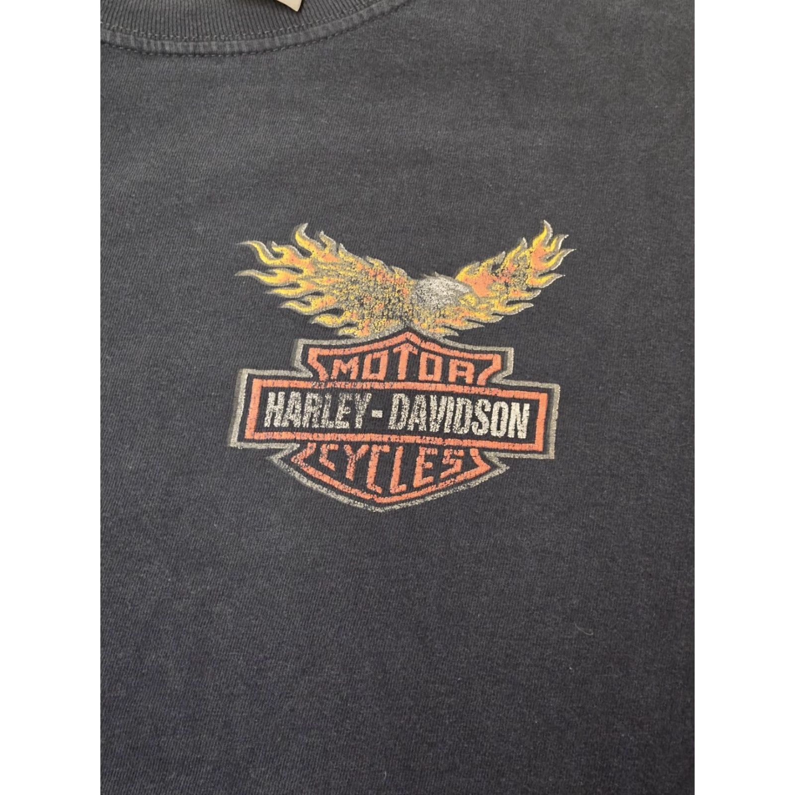 Vintage Harley-Davidson Shirt Mens Large Blue Puerto Vallarta Flames Eagle Motorcycle Tee Size US L / EU 52-54 / 3 - 2 Thumbnail