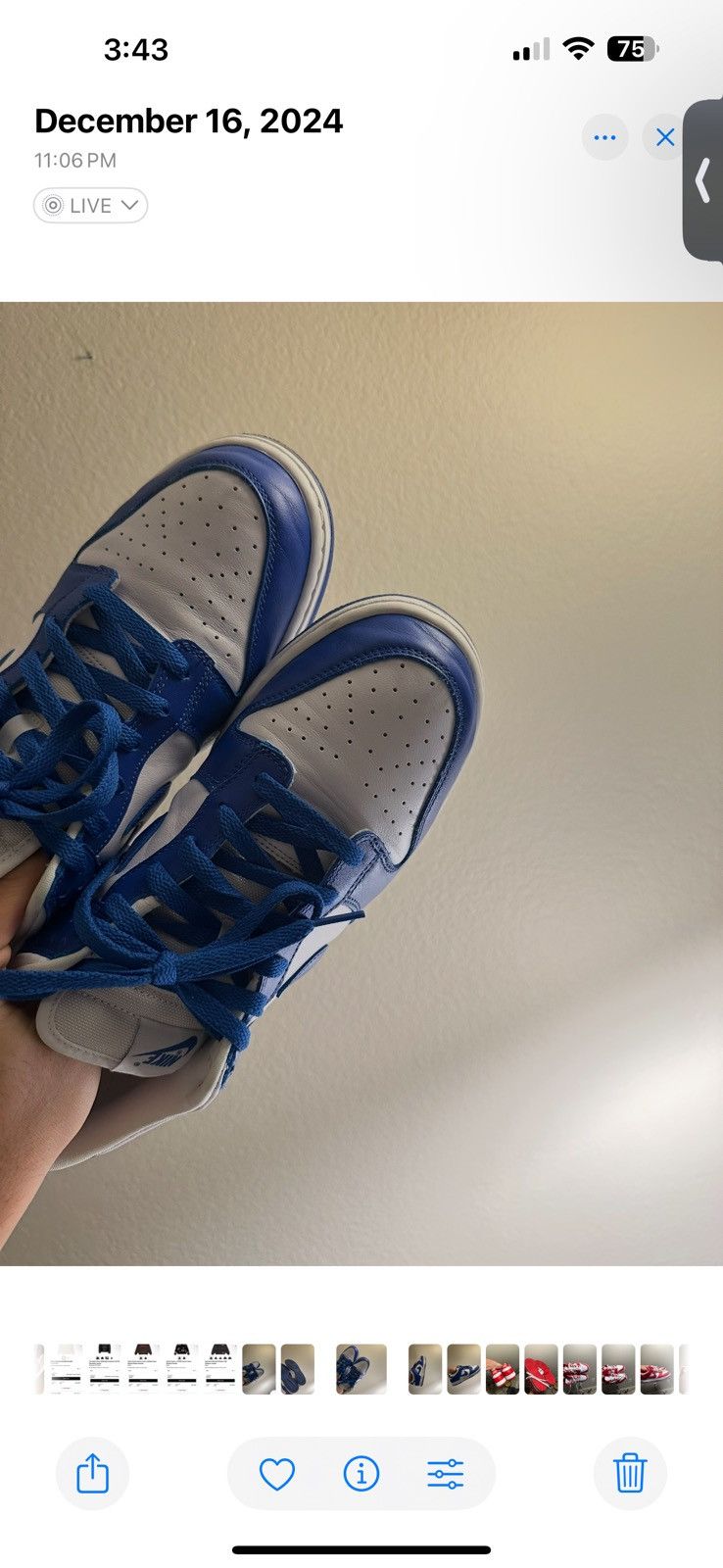 Jordan Brand × Nike Nike Kentucky dunks Size US 10.5 / EU 43-44 - 7 Thumbnail
