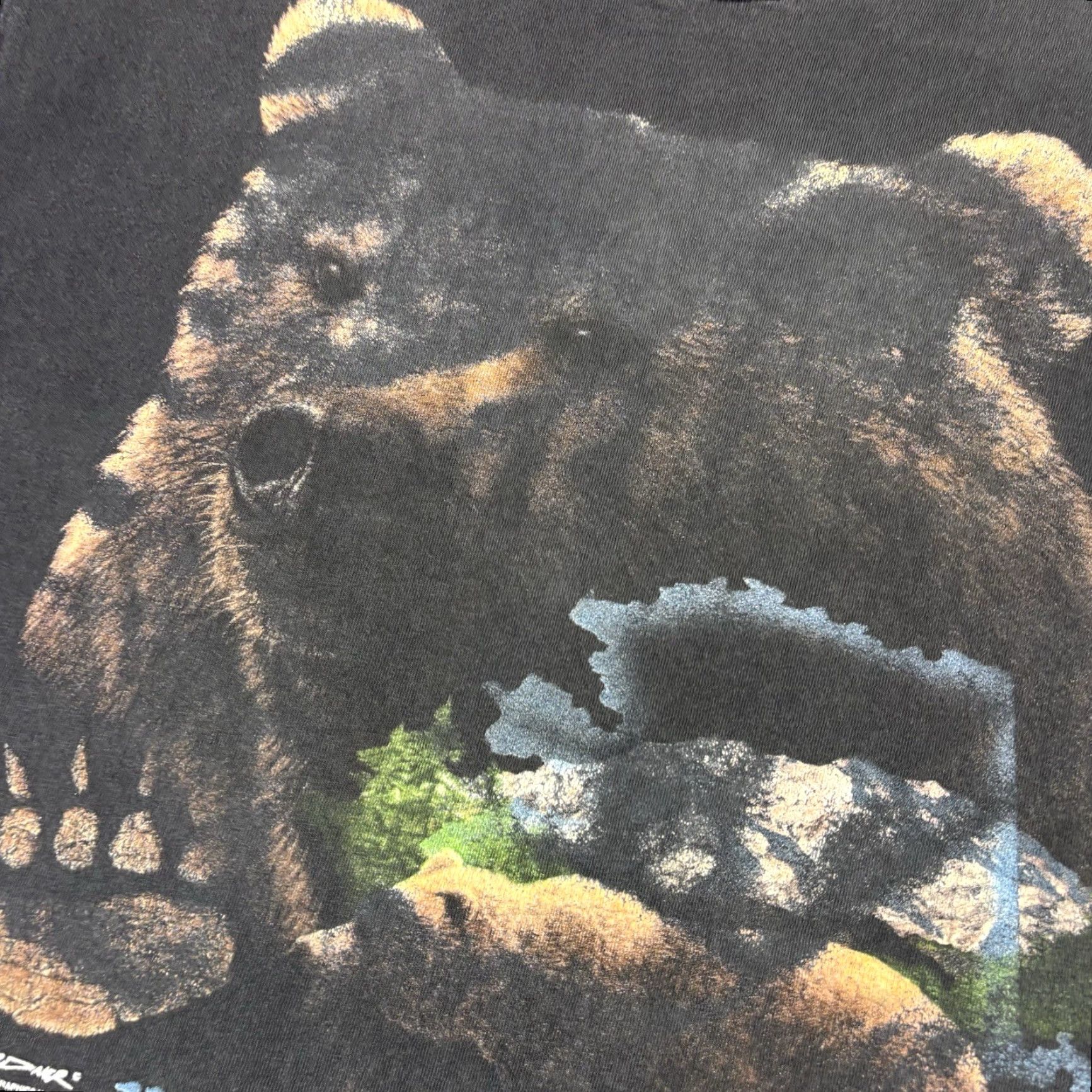 Hanes VINTAGE Hanes T-Shirt Denali Park Alaska grizzly bear nature art size L 90s USA Shirt Mens Black Cotton Size US L / EU 52-54 / 3 - 3 Thumbnail