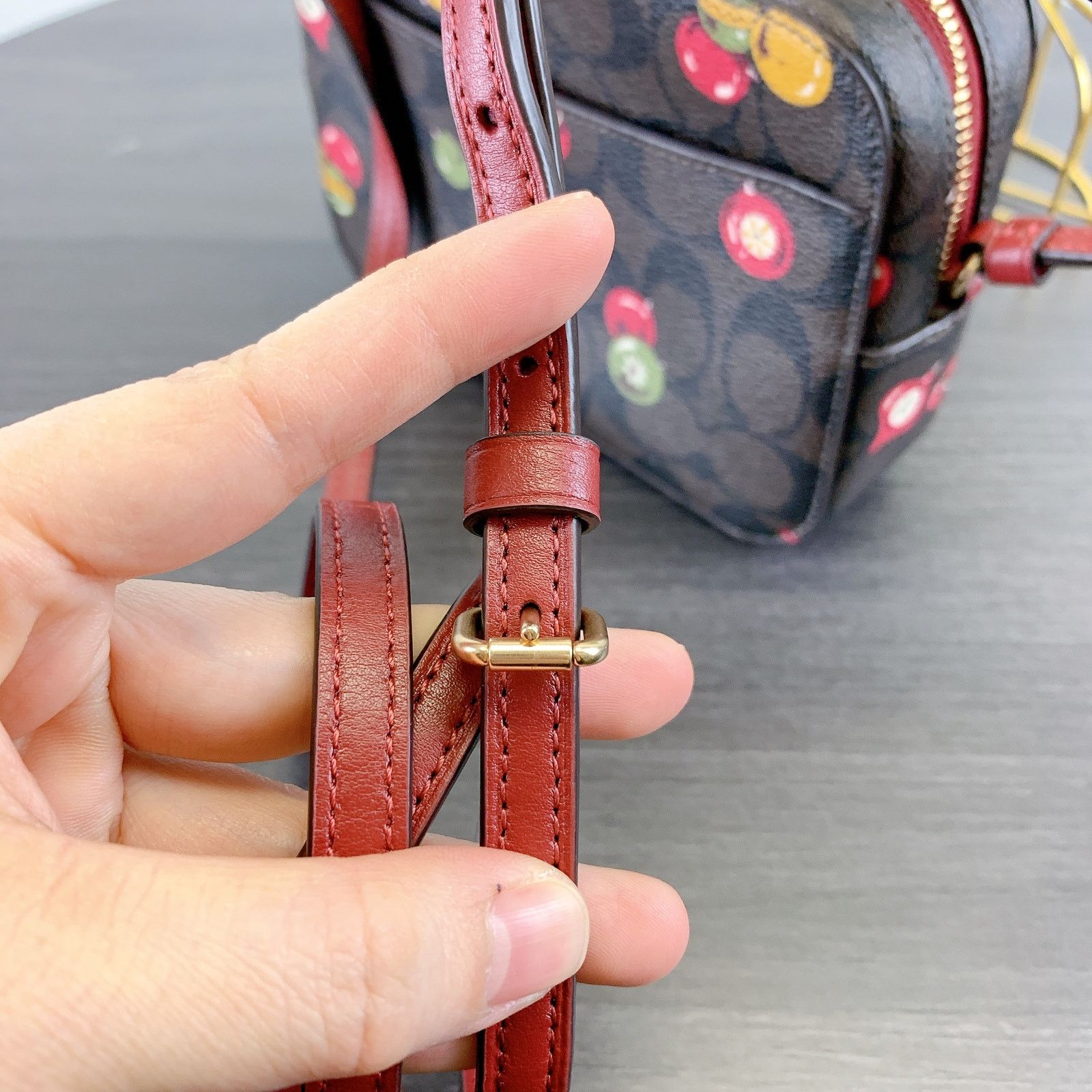 Coach Coach C6904 Mini Camera Bag Signature Canvas Ornament Print Size ONE SIZE - 5 Thumbnail
