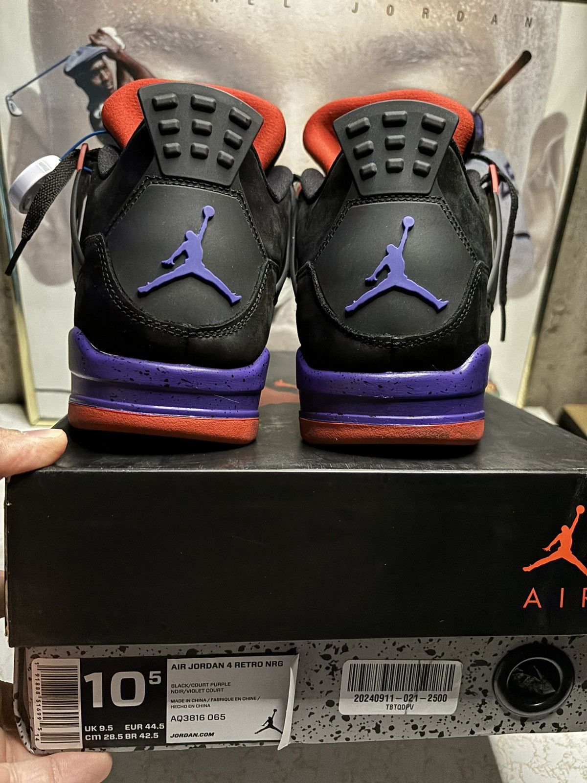 Jordan Brand Air Jordan 4 Retro Raptor Size US 10.5 / EU 43-44 - 7 Thumbnail