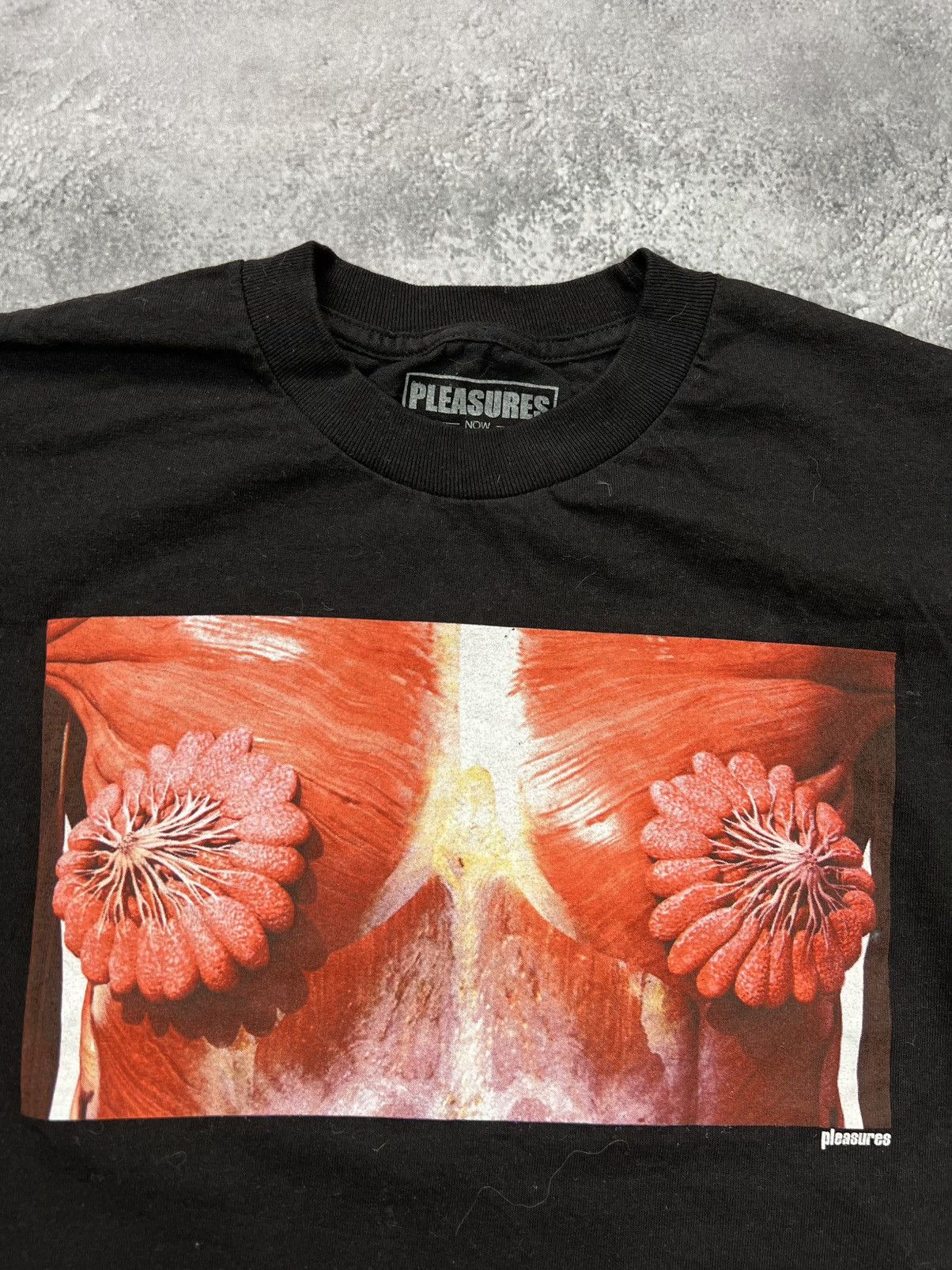 Pleasures Pleasures Mens Black T Shirt Tee Boobs Tits Chest Size US S / EU 44-46 / 1 - 2 Thumbnail