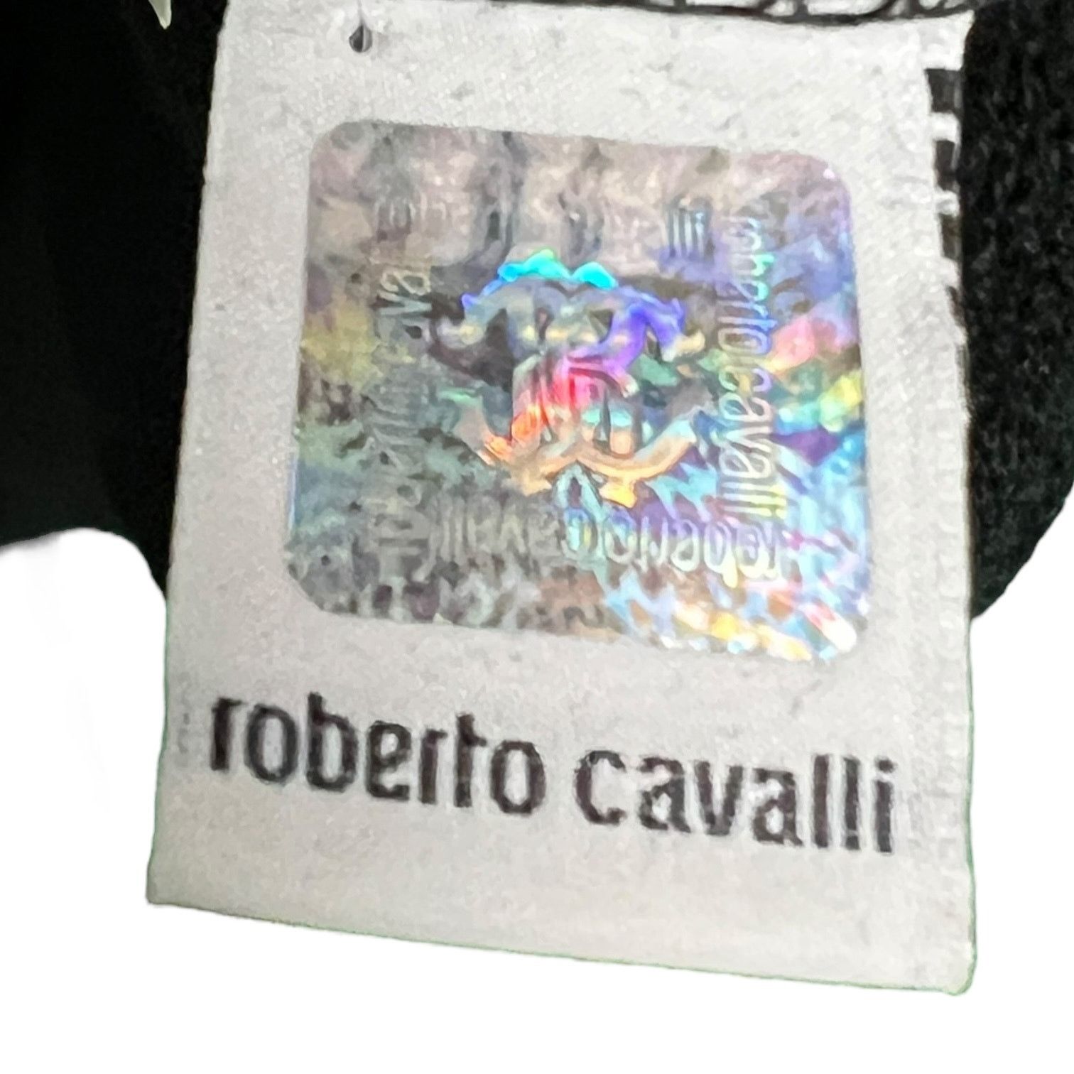 Roberto Cavalli Men's Roberto Cavalli Logo Long Sleeve Sweatshirt Size US L / EU 52-54 / 3 - 6 Thumbnail