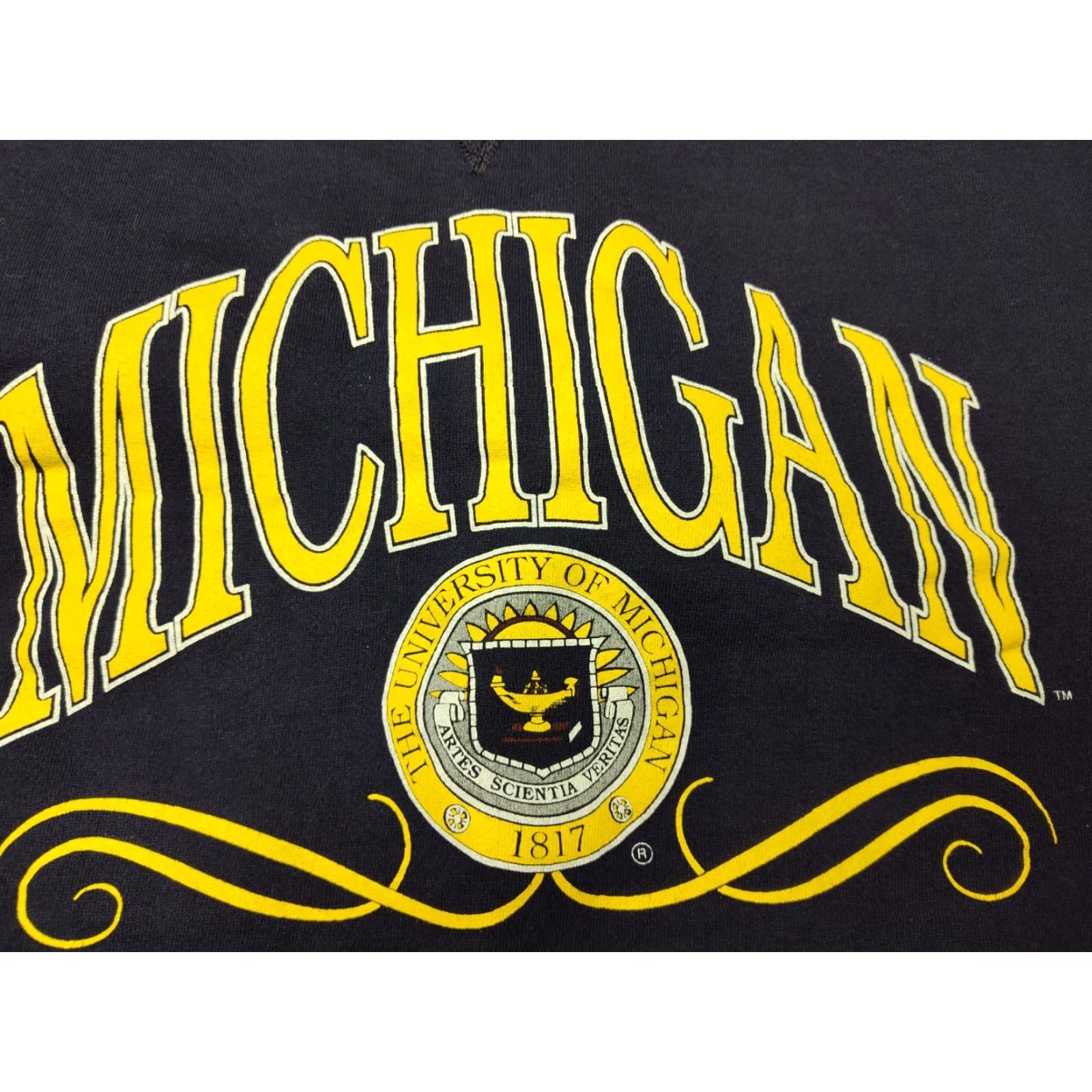 Vintage VINTAGE HVYWT 2020 Sweatshirt Minnesota Wolverines Seal Men M Blue Crew Neck Pullover 90s University College USA Mens Size US M / EU 48-50 / 2 - 2 Thumbnail