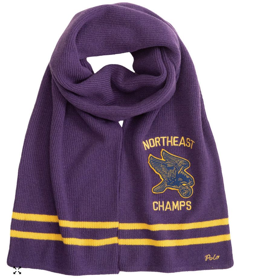 Polo Ralph Lauren Polo Ralph Lauren Northeast Champs Ball Team Scarf Purple Size ONE SIZE - 1 Thumbnail