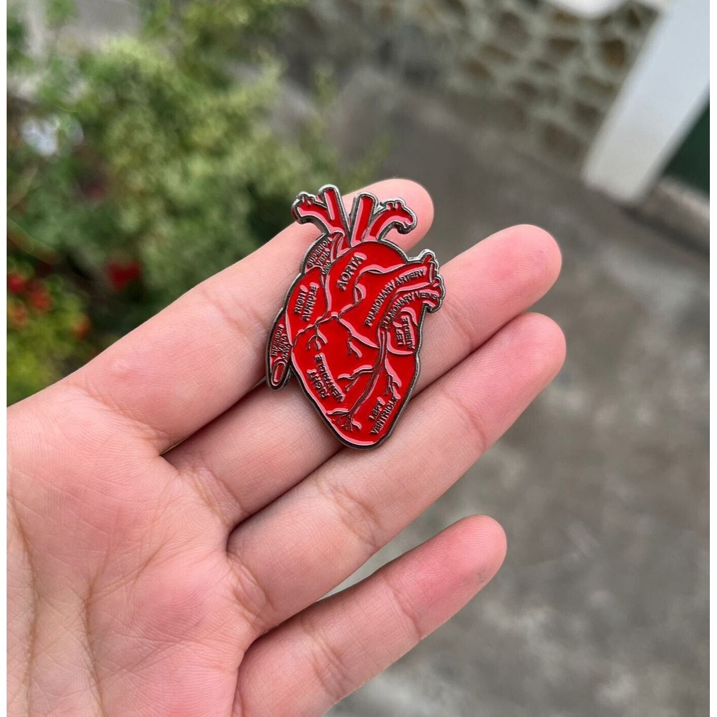 Other Anatomical Human Heart Enamel Pin Brooch Red Heart Organ Lap Size ONE SIZE - 1 Thumbnail