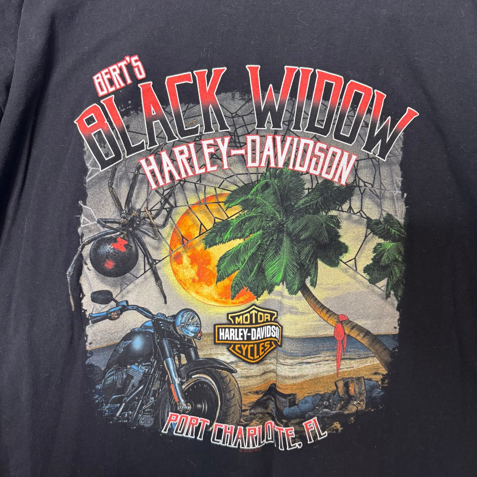 Harley Davidson Harley Davidson Black Widow Graphic Tee 2XL USA Size US XXL / EU 58 / 5 - 5 Thumbnail
