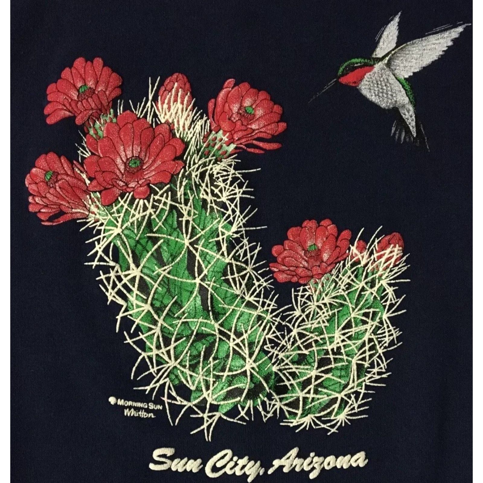Vintage Vtg 80s Arizona Faded Cactus Sweatshirt S USA Flower Cowboy Bird Nature Grunge Animal Hoodie Men Blue уст Size US S / EU 44-46 / 1 - 2 Thumbnail