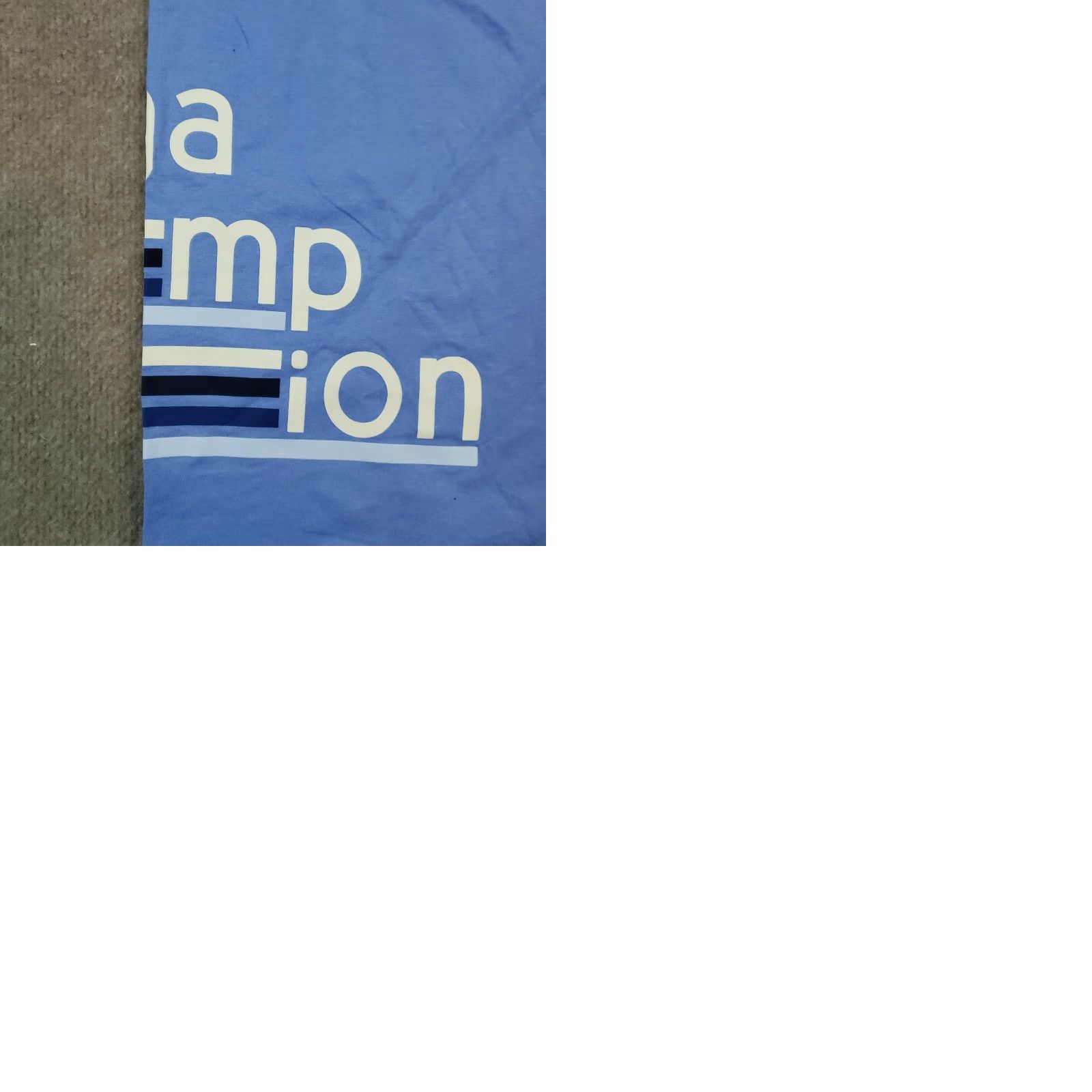 Champion Champion T-shirt Mens Large Blue Crew Neck Short Sleeve Spell Out Graphic Size US L / EU 52-54 / 3 - 9 Thumbnail