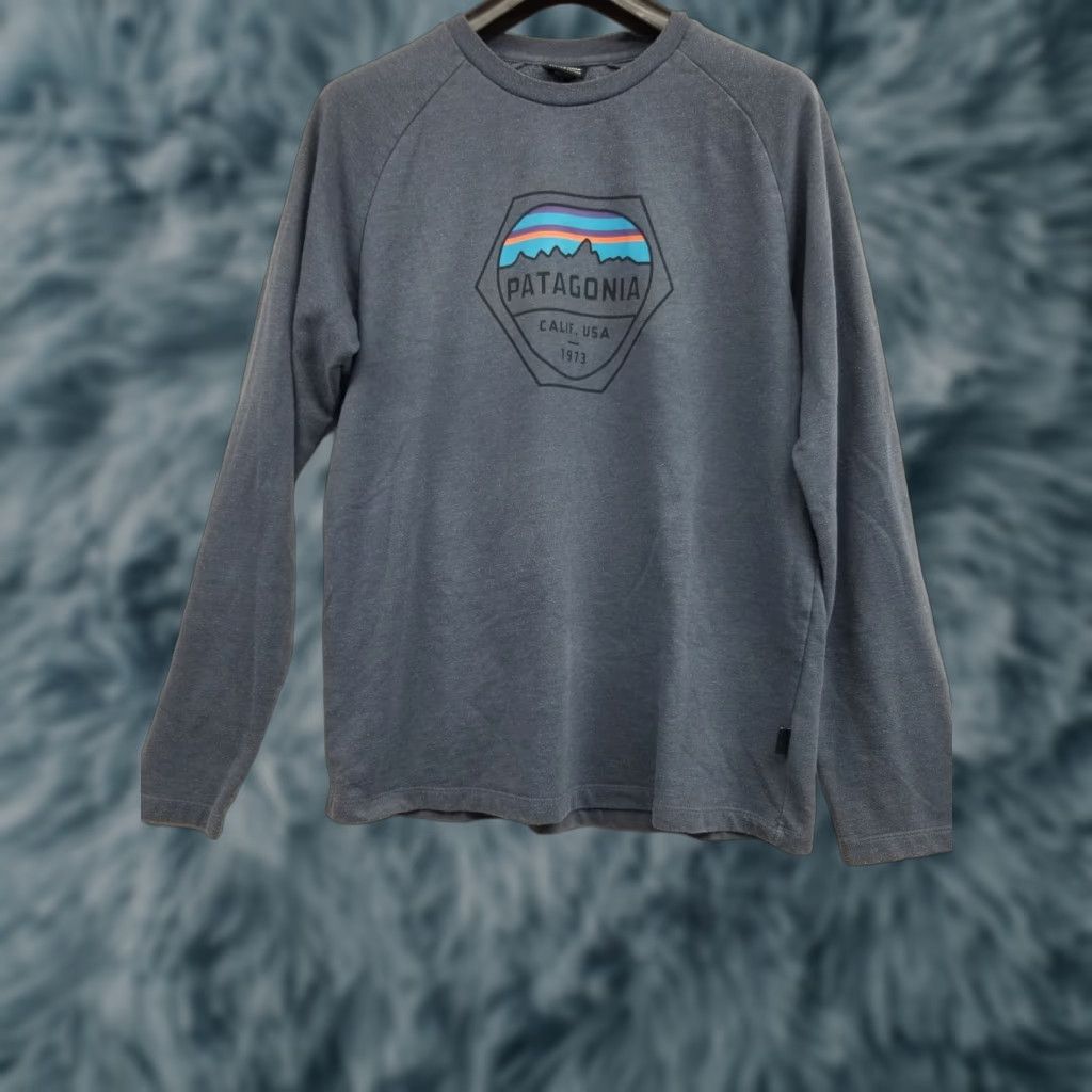 Patagonia Patagonia Sweatshirt Crewneck Blue L Men Pullover All Seasons Graphic Logo Athletic Hiking Running Gym Size US L / EU 52-54 / 3 - 1 Thumbnail