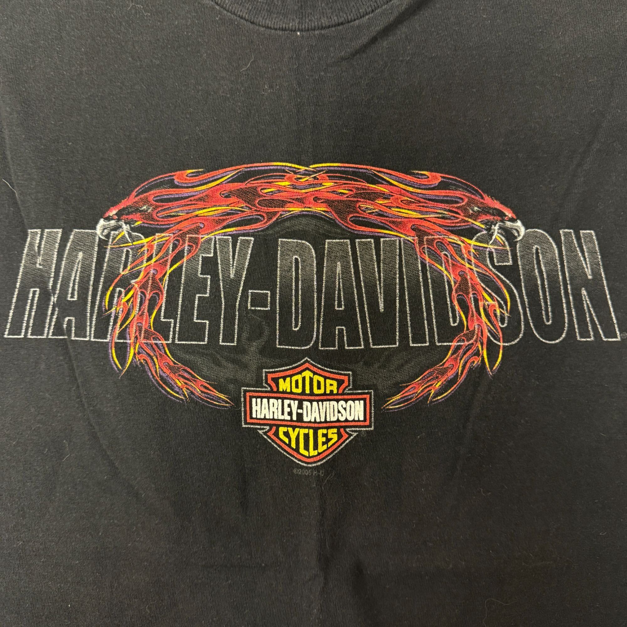 Harley Davidson H-D MOTORCYCLE Waco TEXAS Biker Hill Country River T Shirt M Size US M / EU 48-50 / 2 - 4 Thumbnail