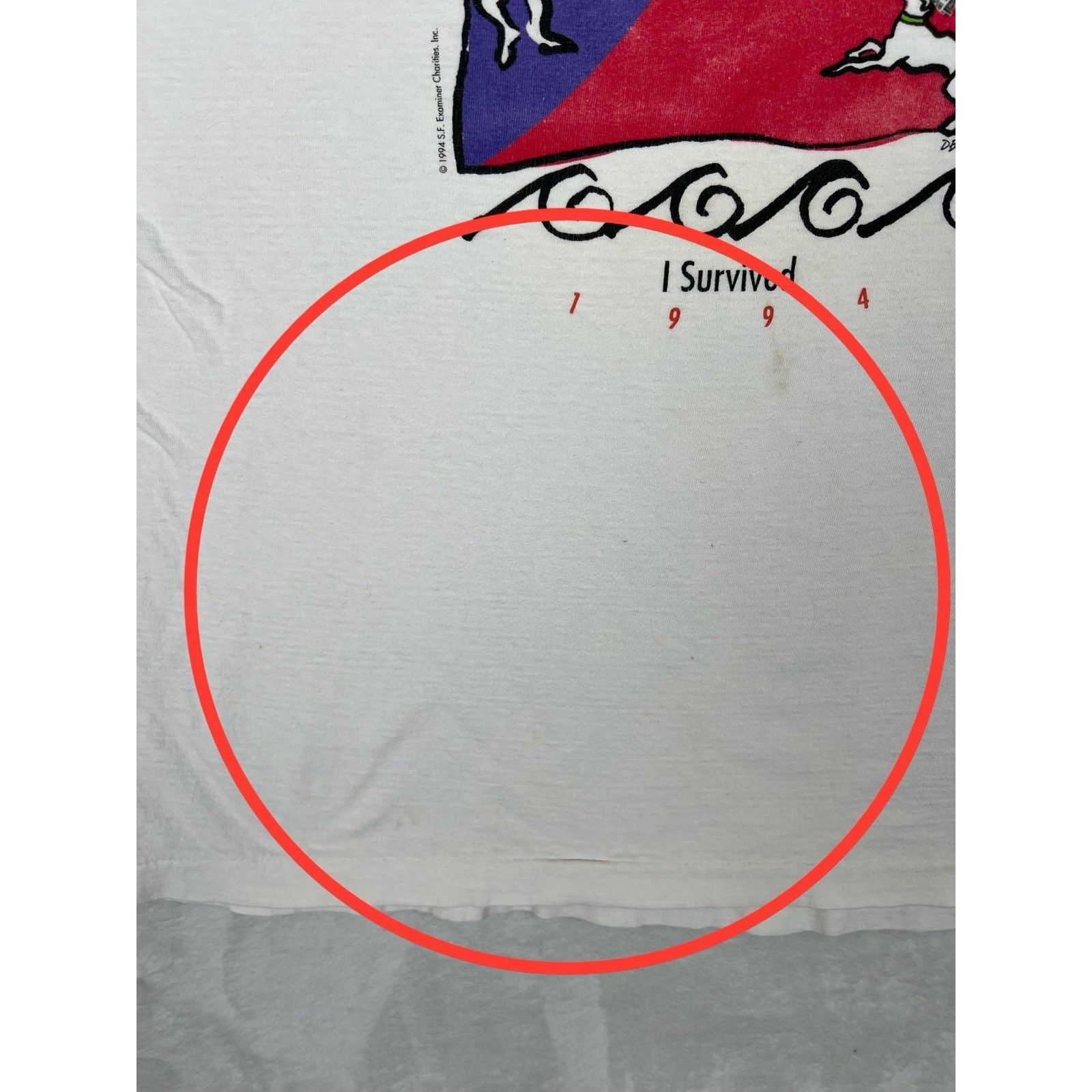 Vintage Vintage Examiner Bay To Breakers I Survived T-Shirt 90’s 199 Size US L / EU 52-54 / 3 - 3 Thumbnail