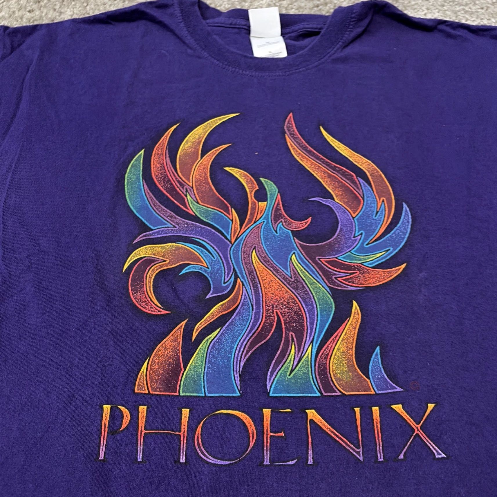 Gildan VINTAGE 90s Phoenix Arizona Purple Art Bird Graphic T-Shirt XL Mens Regular Purple Bird Gildan XL T-Shirt Size US XL / EU 56 / 4 - 3 Thumbnail