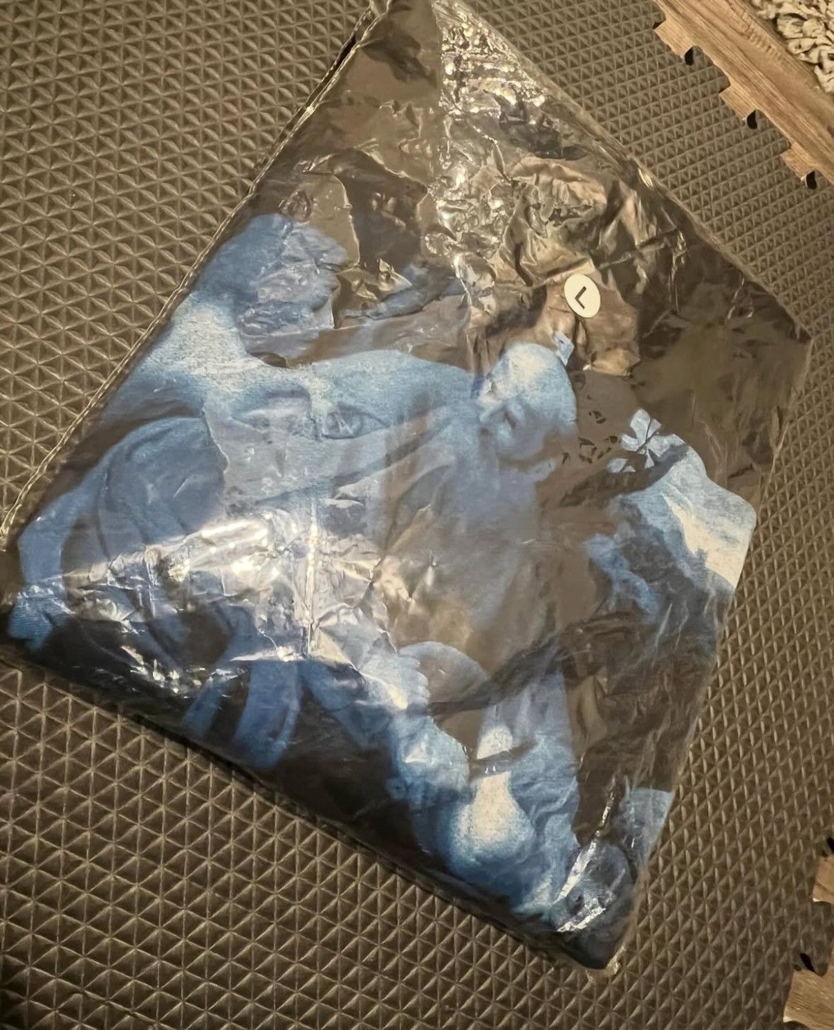 Revenge (DS) (L) Revenge Sacrifice of Isaac Hoodie Size US L / EU 52-54 / 3 - 2 Thumbnail