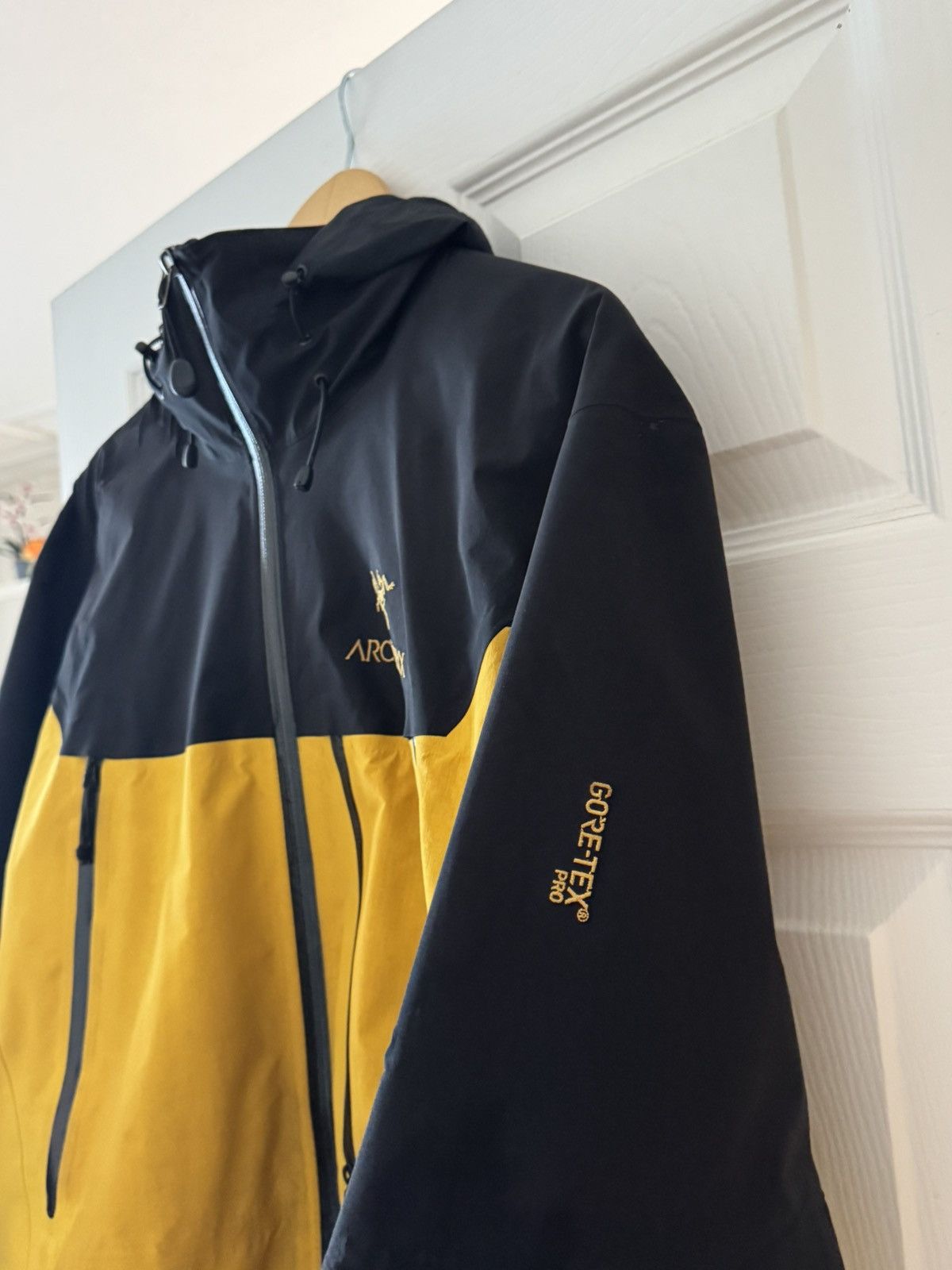 Arc'Teryx x Beams Special Order 40th Theta AR Jacket