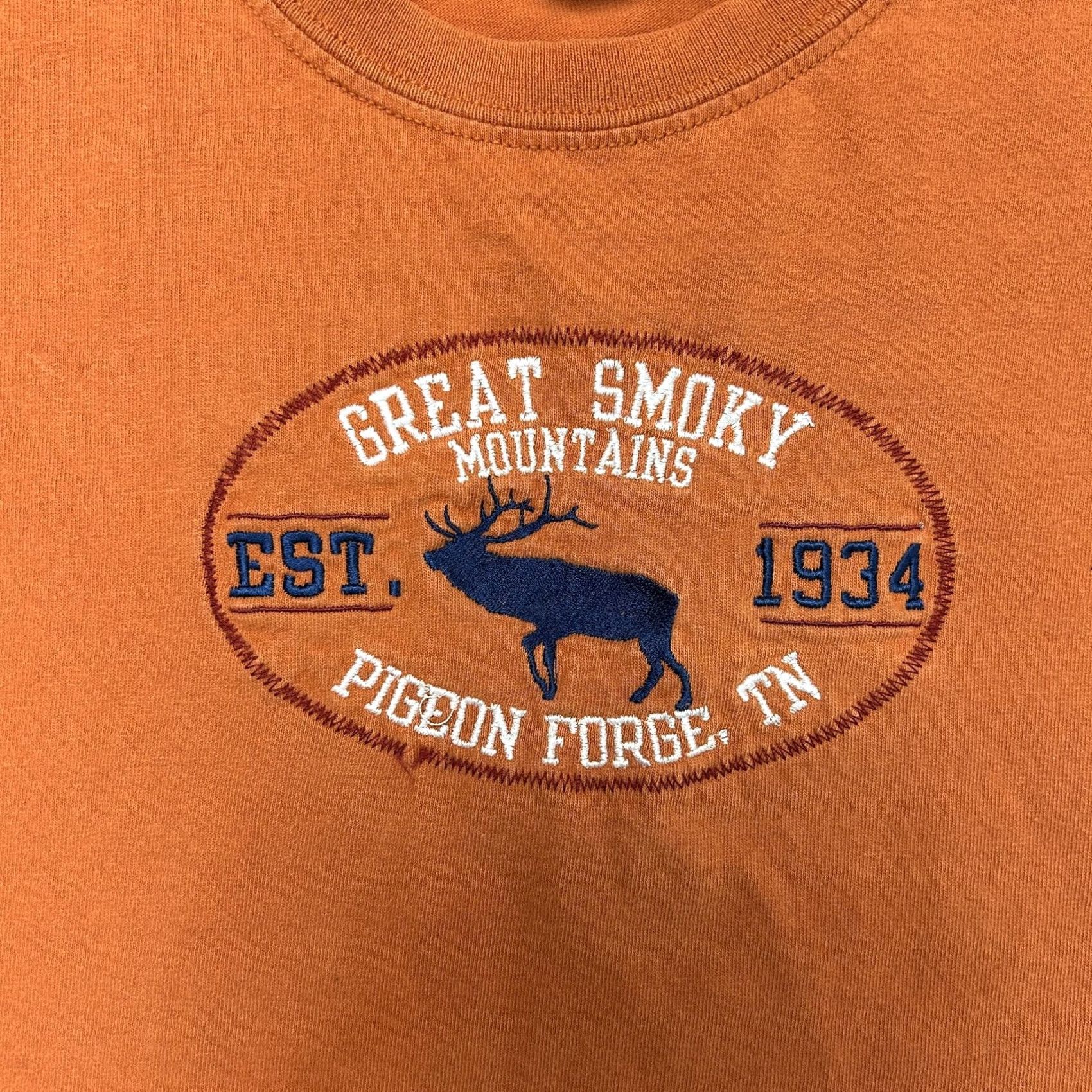 Gildan VINTAGE Y2K Great Smoky Mountains Gildan Shirt Mens XL Orange Pigeon Forge Tee T-Shirt Size US XL / EU 56 / 4 - 3 Thumbnail
