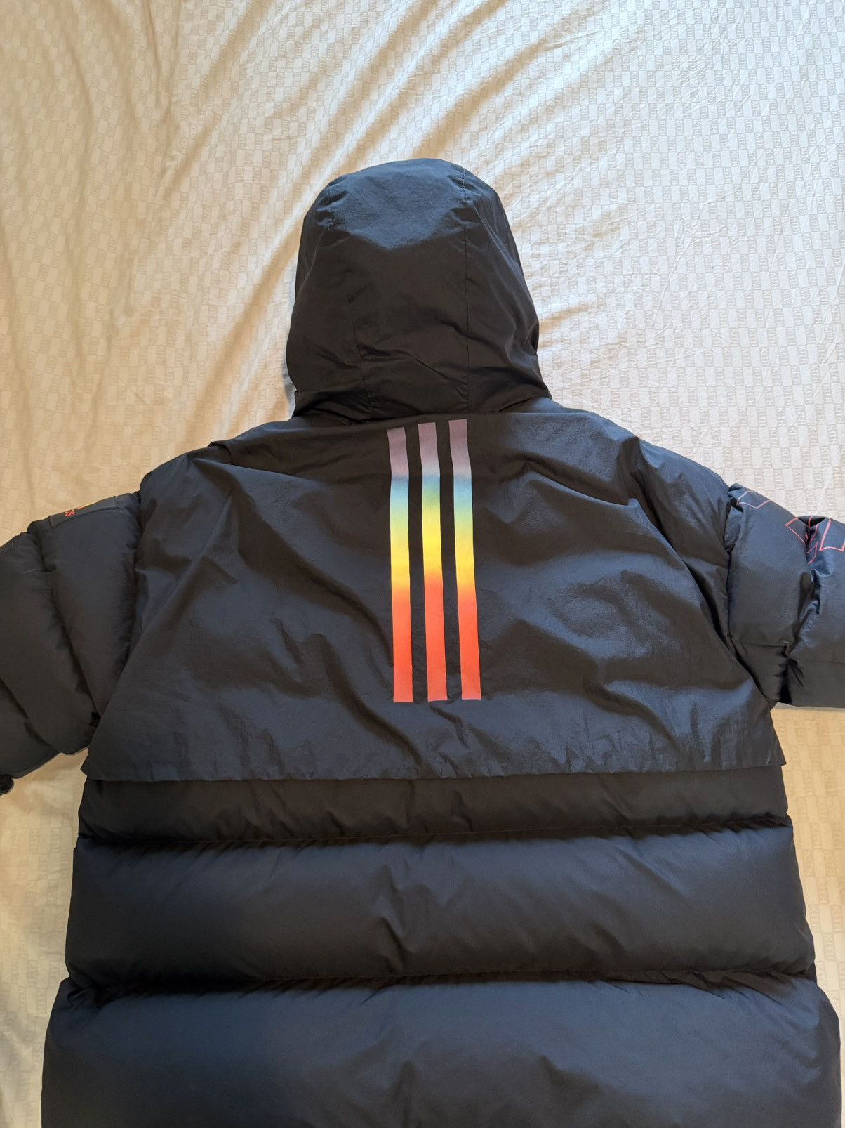 Adidas × Kith Kith x adidas Terrex Down Parka Size US XL / EU 56 / 4 - 5 Thumbnail