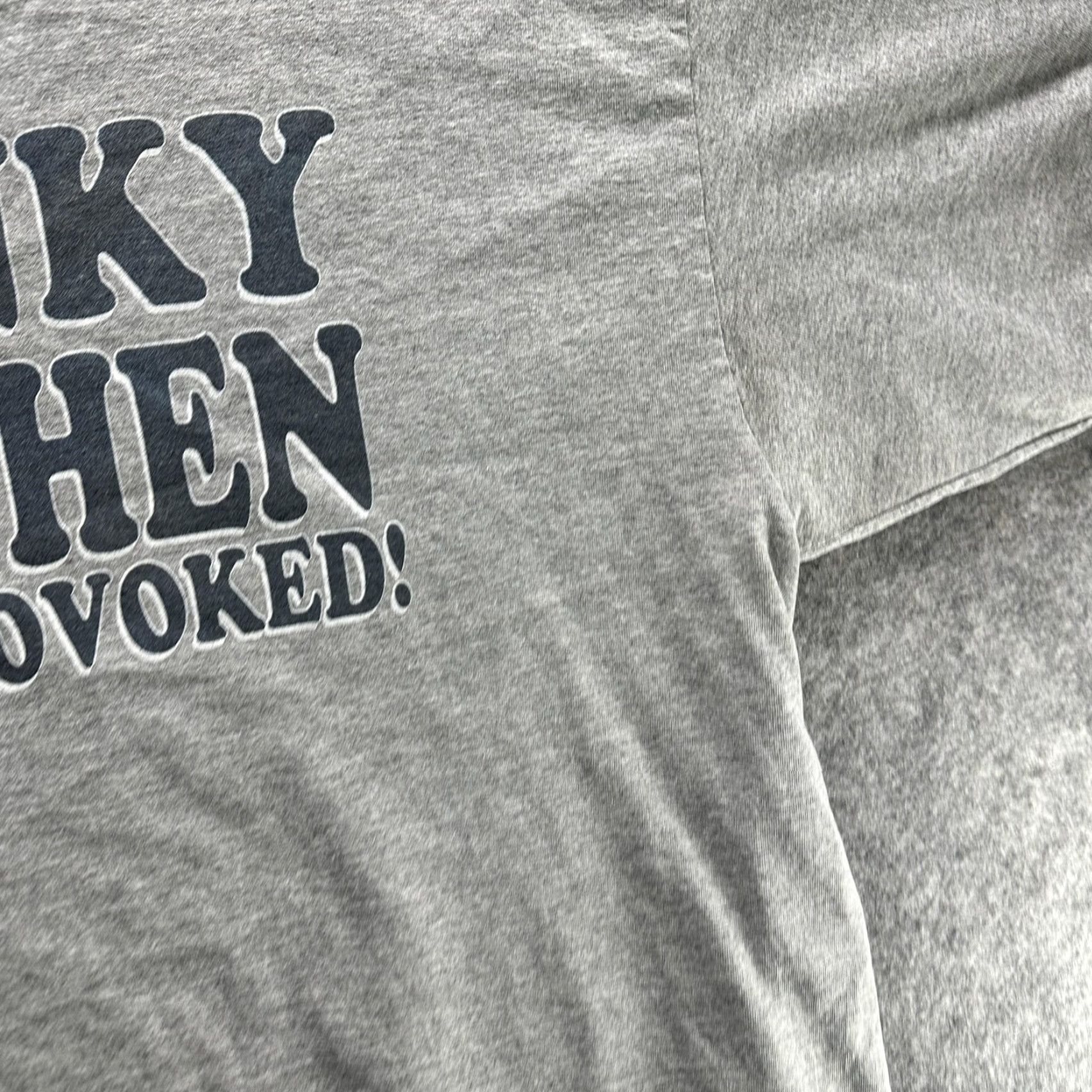 Disney Disney Shirt Mens 2XL Gray Cranky When Provoked Graphic Tee Lilo & Stitch Size US XXL / EU 58 / 5 - 5 Thumbnail