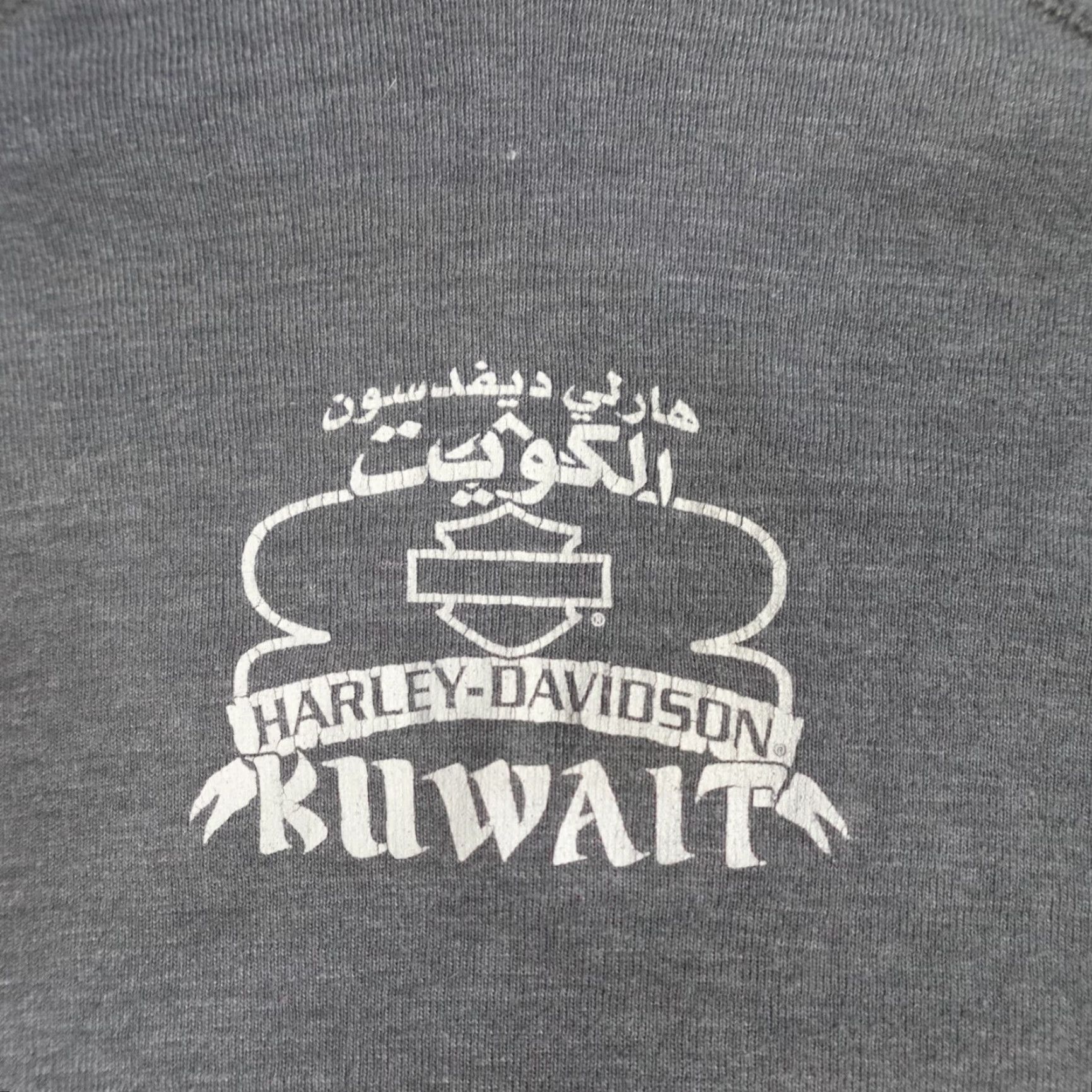 Harley Davidson Harley-Davidson Womens T-Shirt Gray Raglan Sleeves Scoop Neck Hoodie L Size L / US 10 / IT 46 - 5 Thumbnail