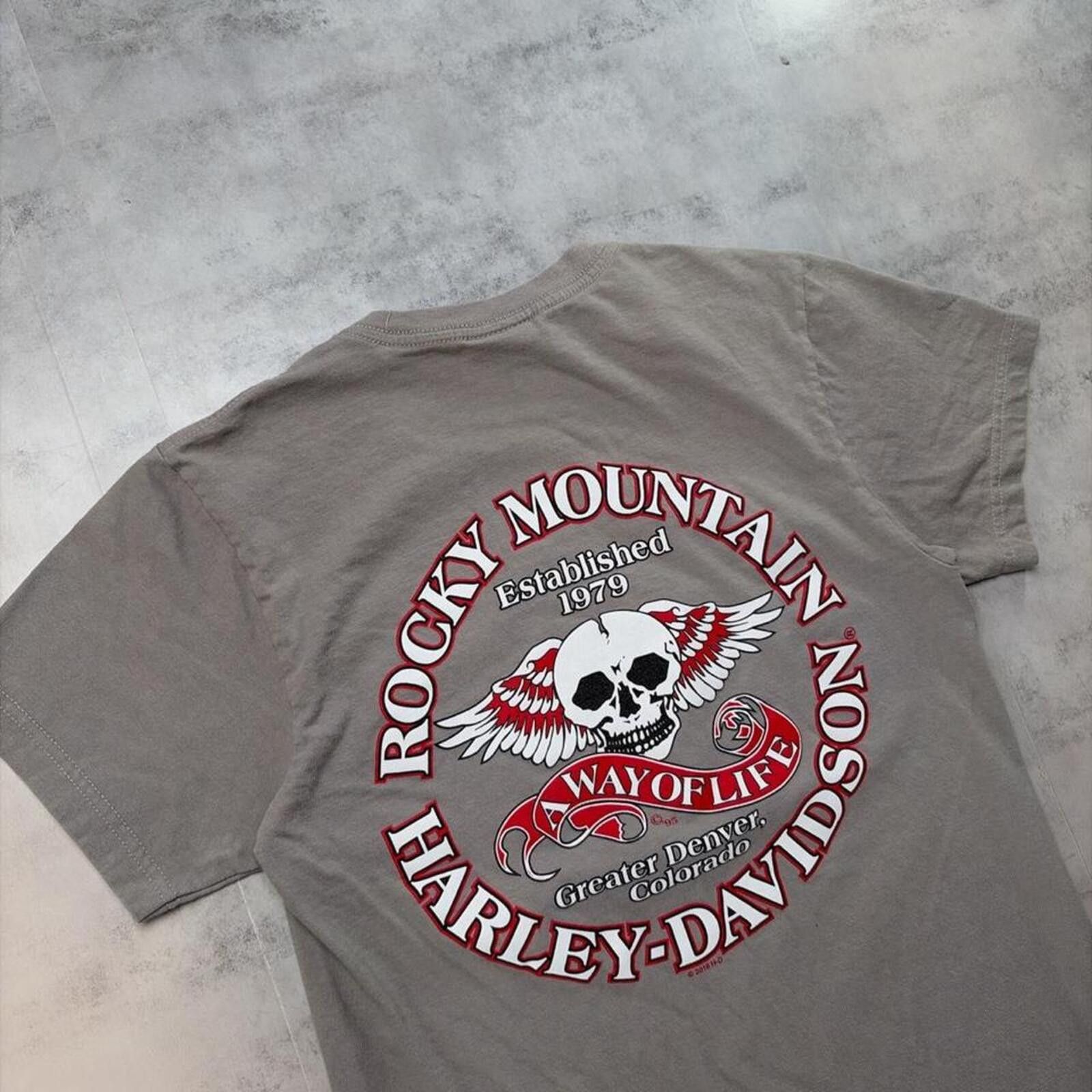Harley Davidson Y2K Grey Harley Davidson Grunge Rocky Mountain Biker T-Shirt Size US S / EU 44-46 / 1 - 4 Thumbnail