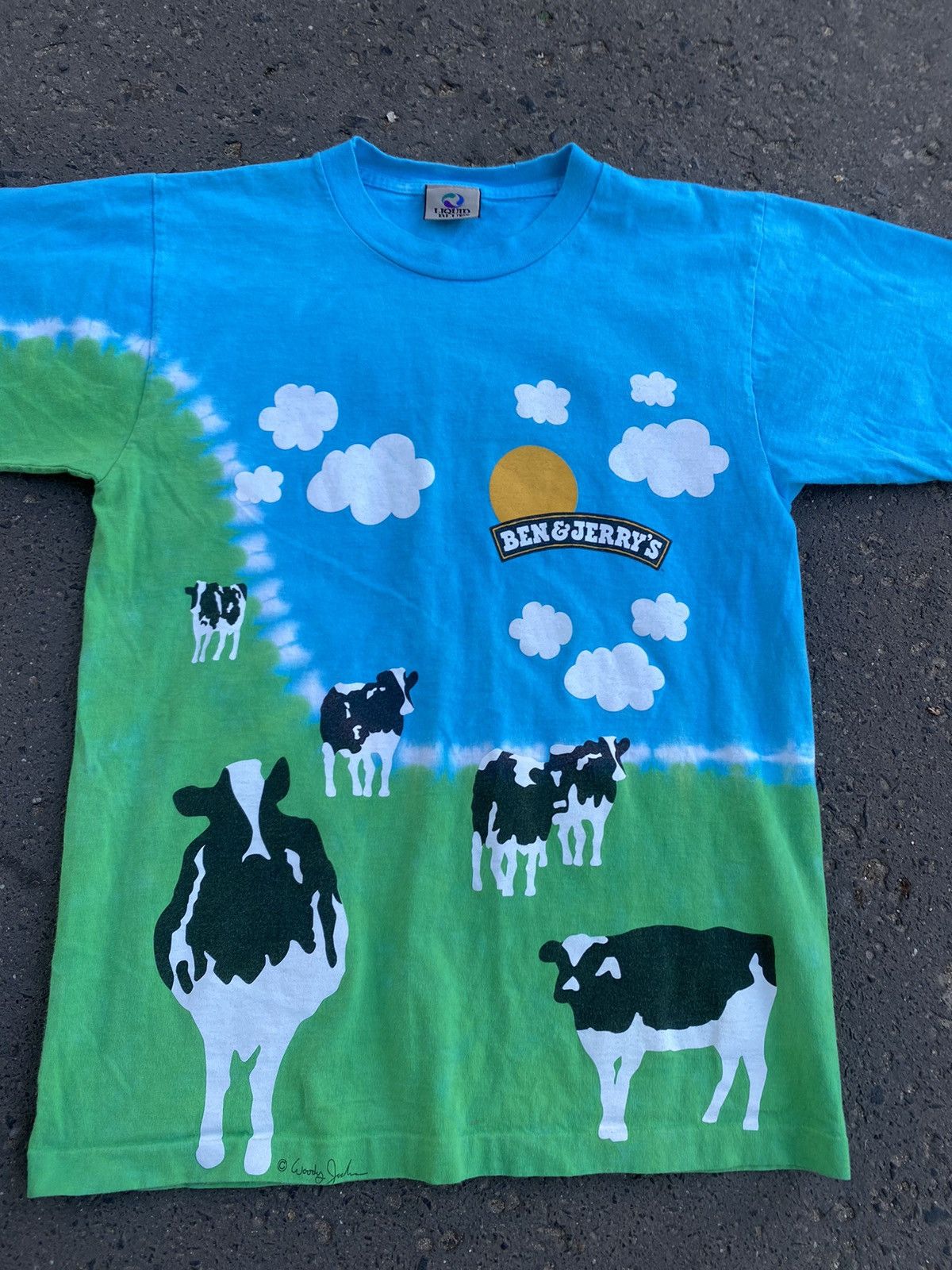 Liquid Blue Vintage Liquid Blue Ben&Jerry’s single stitch tee Size US M / EU 48-50 / 2 - 3 Thumbnail
