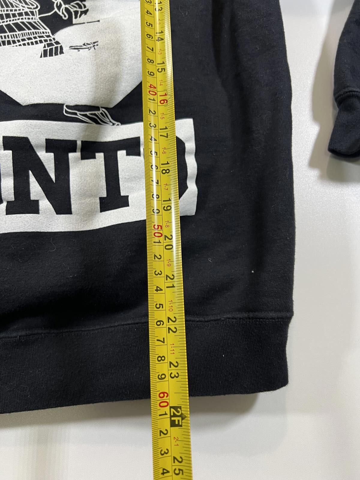 Other Tamed Toronto Black Medium Hoodie with Logo Print Size US M / EU 48-50 / 2 - 5 Thumbnail