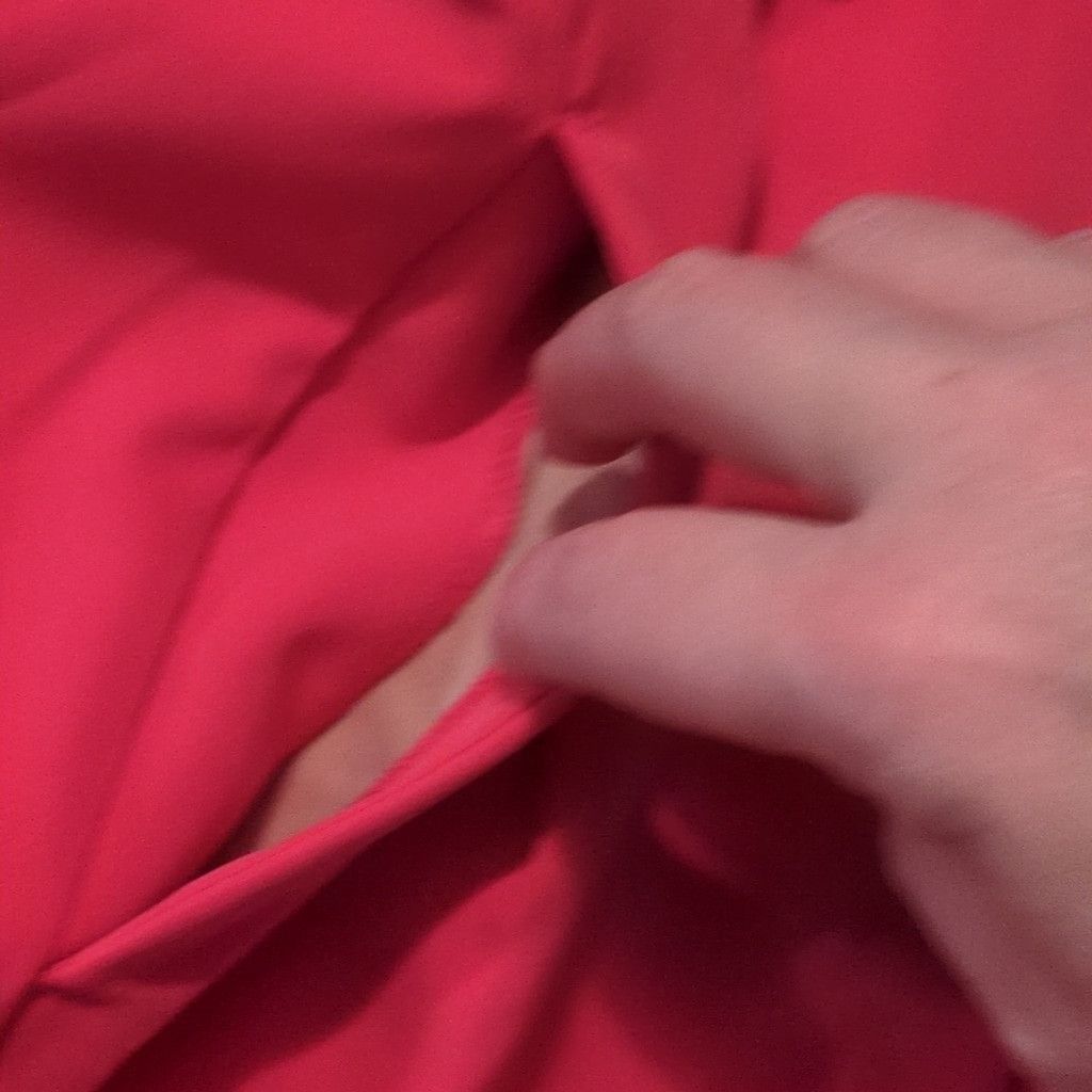 Express Express Pink Flamingo Pleated Dress Pants Size 4R Size 27" / US 4 / IT 40 - 5 Thumbnail