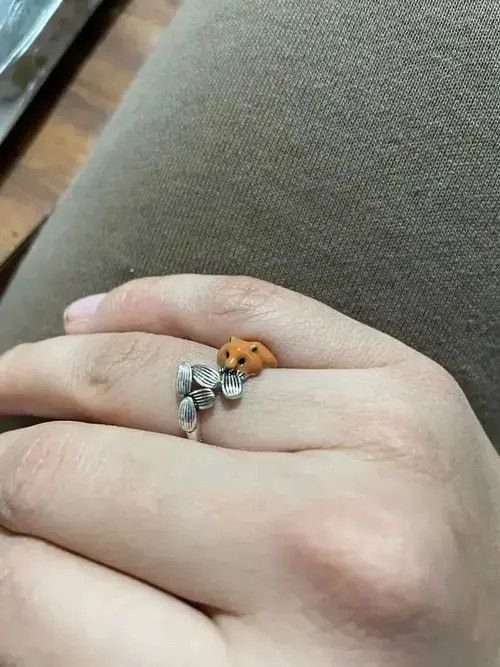 Jewelry Chipmunk Eat Seed Adjustable Ring in Silver, Men's