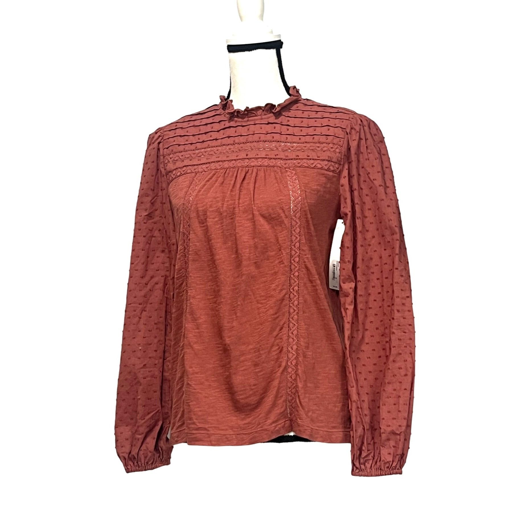 Other Caslon Pintuck Lace Detail Long Sleeve Cotton Blouse, Brown Size XS / US 0-2 / IT 36-38 - 2 Thumbnail