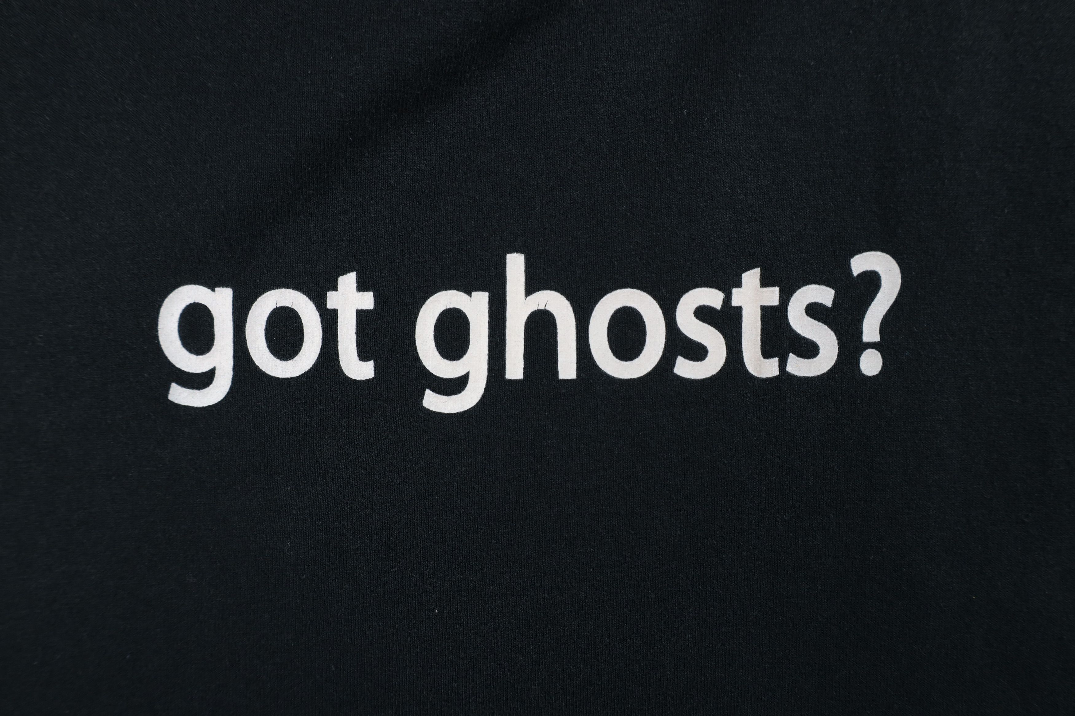 Vintage Vintage 90s Y2K Streetwear Ghost Hunter Virginia T-Shirt Size US L / EU 52-54 / 3 - 4 Thumbnail