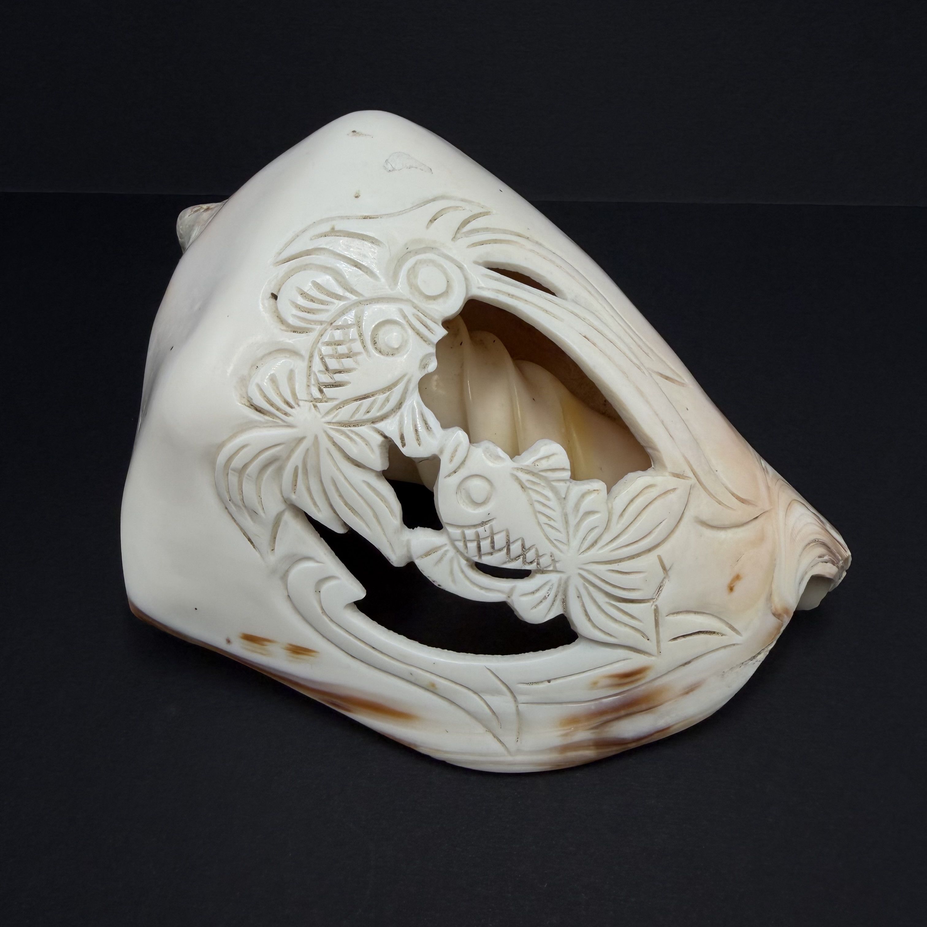Vintage Vintage Hand Carved Conch Shell Fish Decor Natural Sea Shell Size ONE SIZE - 9 Thumbnail