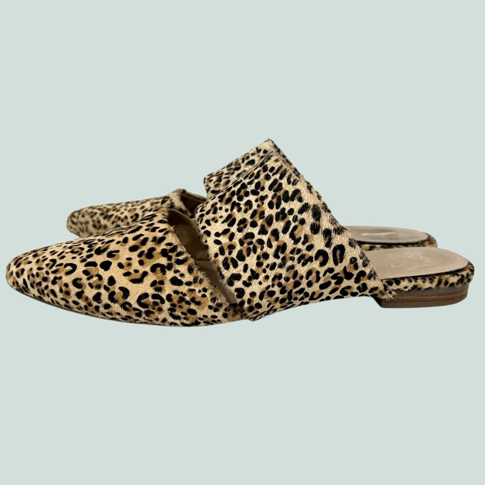 Matisse Matisse Flats Mules Animal Print Fur Dyed Cow Leather Slides Pointed Toe 8.5 Tan Women Slip On Flat Size US 9 / IT 39 - 1 Thumbnail