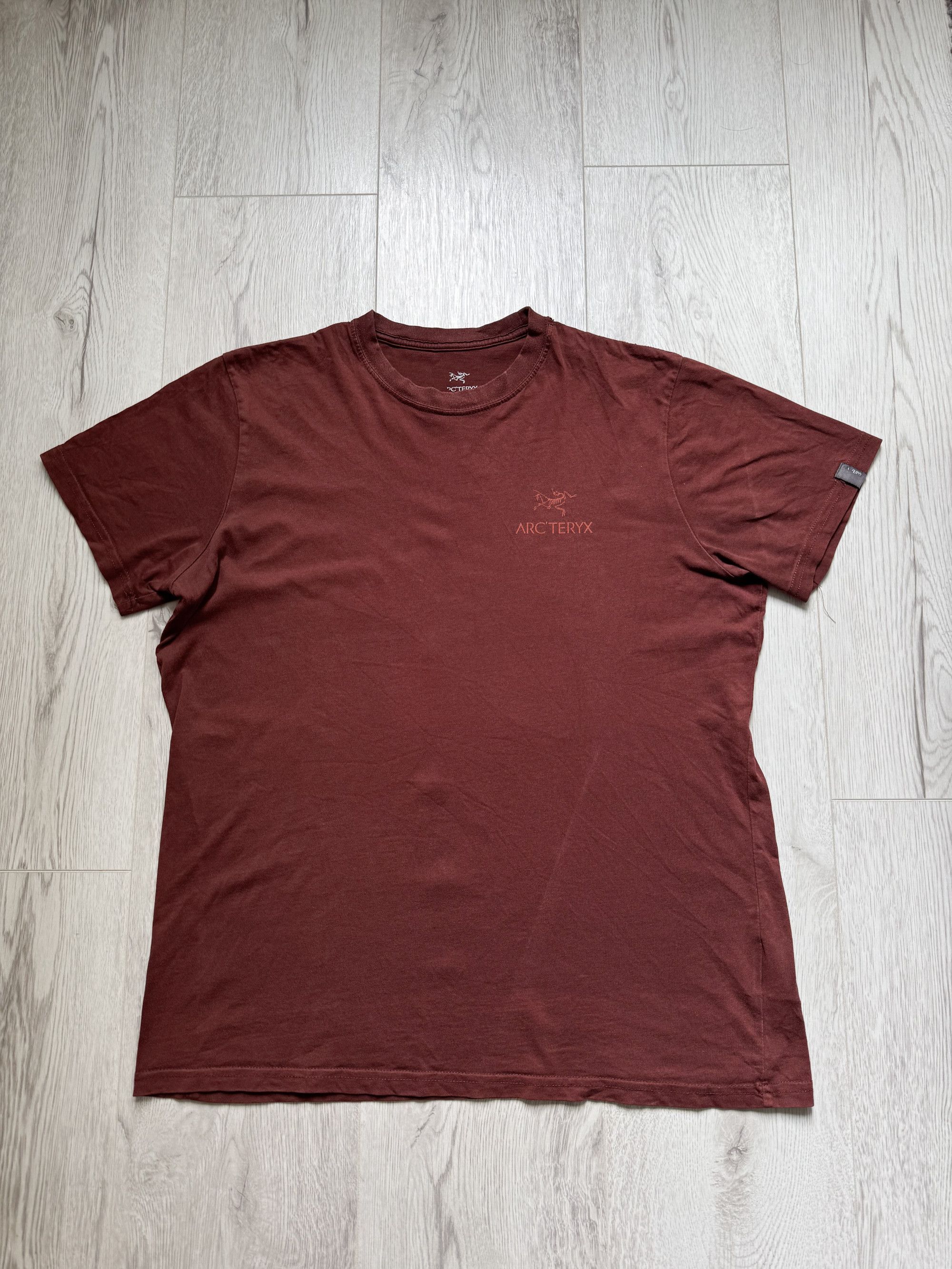 Arc'teryx × Vintage 1999 Rare Arcteryx Lizard T-Shirt Size M | Grailed