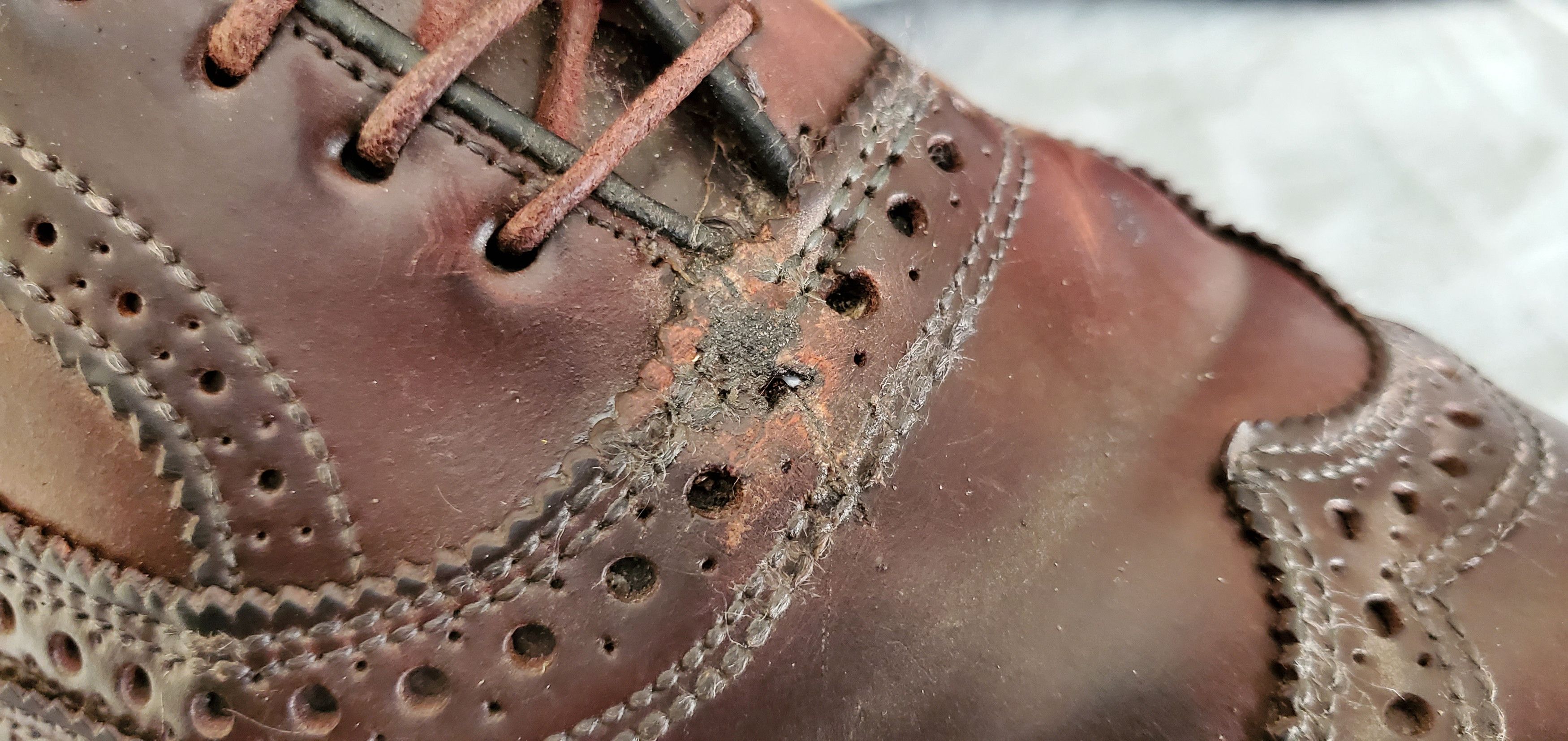 Allen Edmonds Allen Edmonds Cordovan Brogue Shoes Size US 9 / EU 42 - 7 Thumbnail