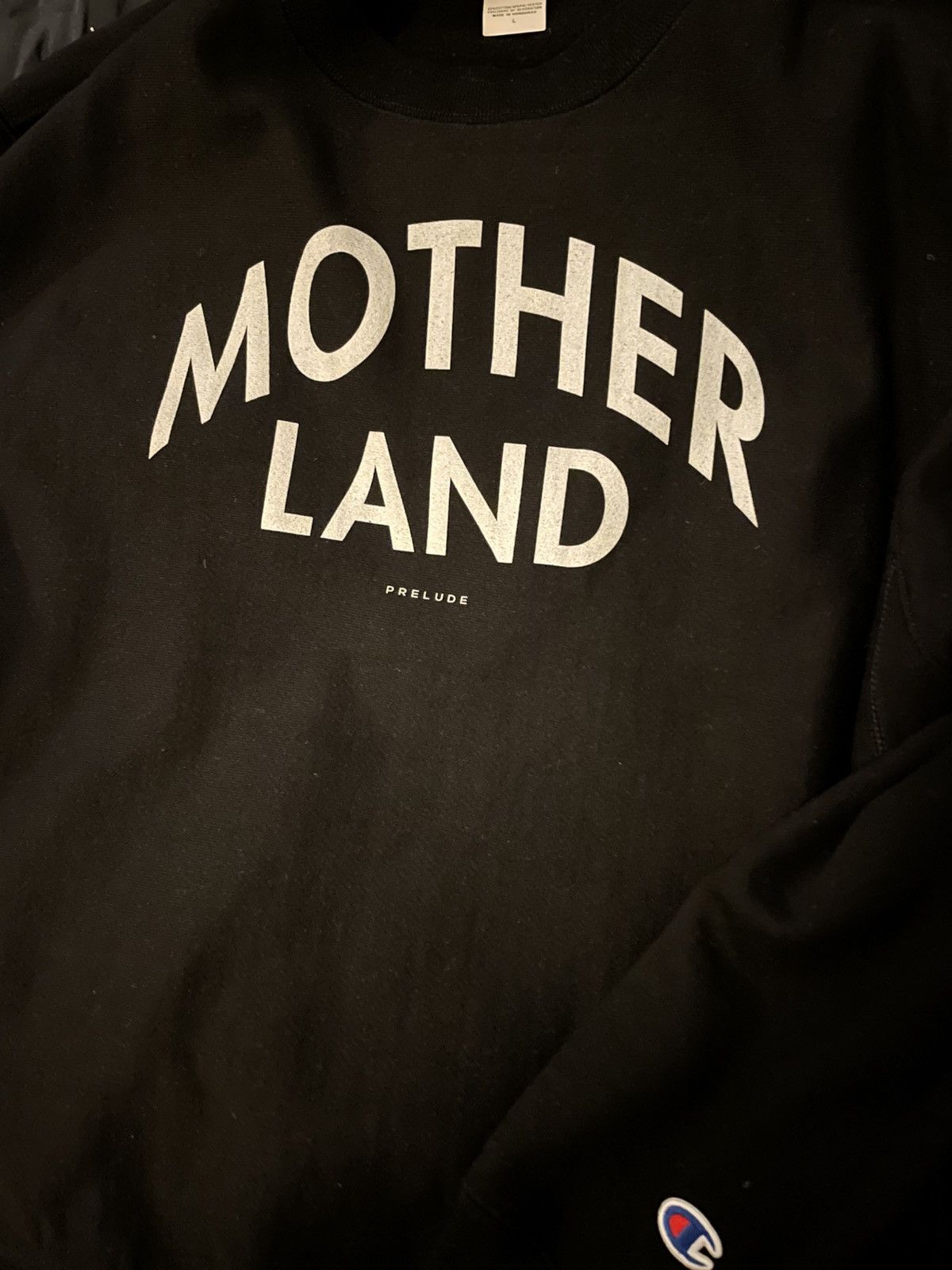 Champion Motherland reverse weave Size US L / EU 52-54 / 3 - 4 Thumbnail