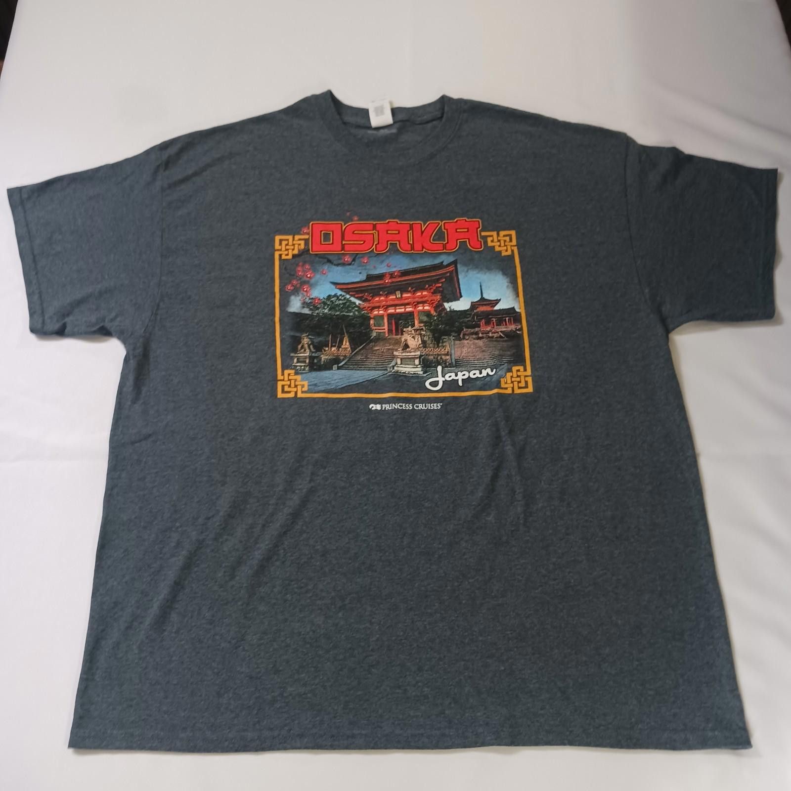 Gildan Gildan Heavy Cotton PRINCESS CRUISES Men's Gray T-Shirt 2XL Size US XXL / EU 58 / 5 - 10 Thumbnail