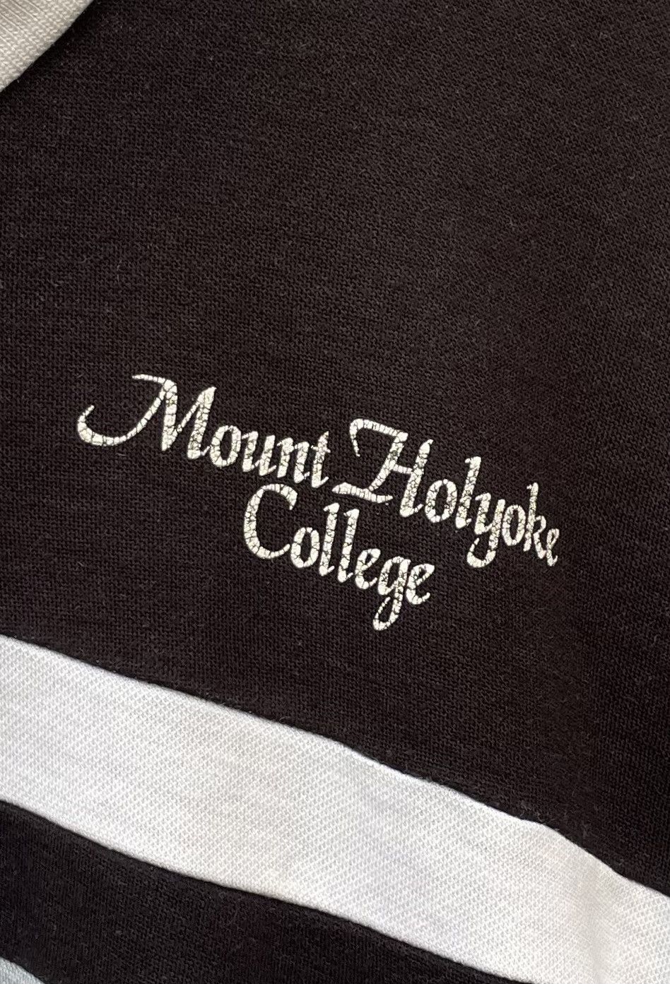 Champion Rare VTG 80s/90s Champion Mount Holyoke College Tri Color Size US L / EU 52-54 / 3 - 5 Thumbnail