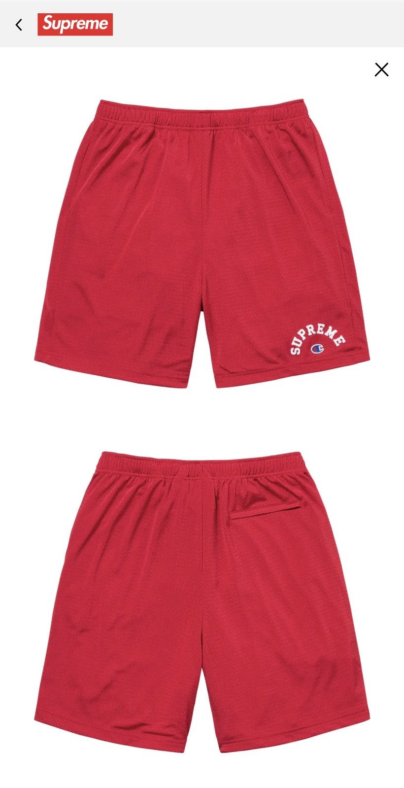 Supreme Supreme/Champion Mesh Short | Grailed